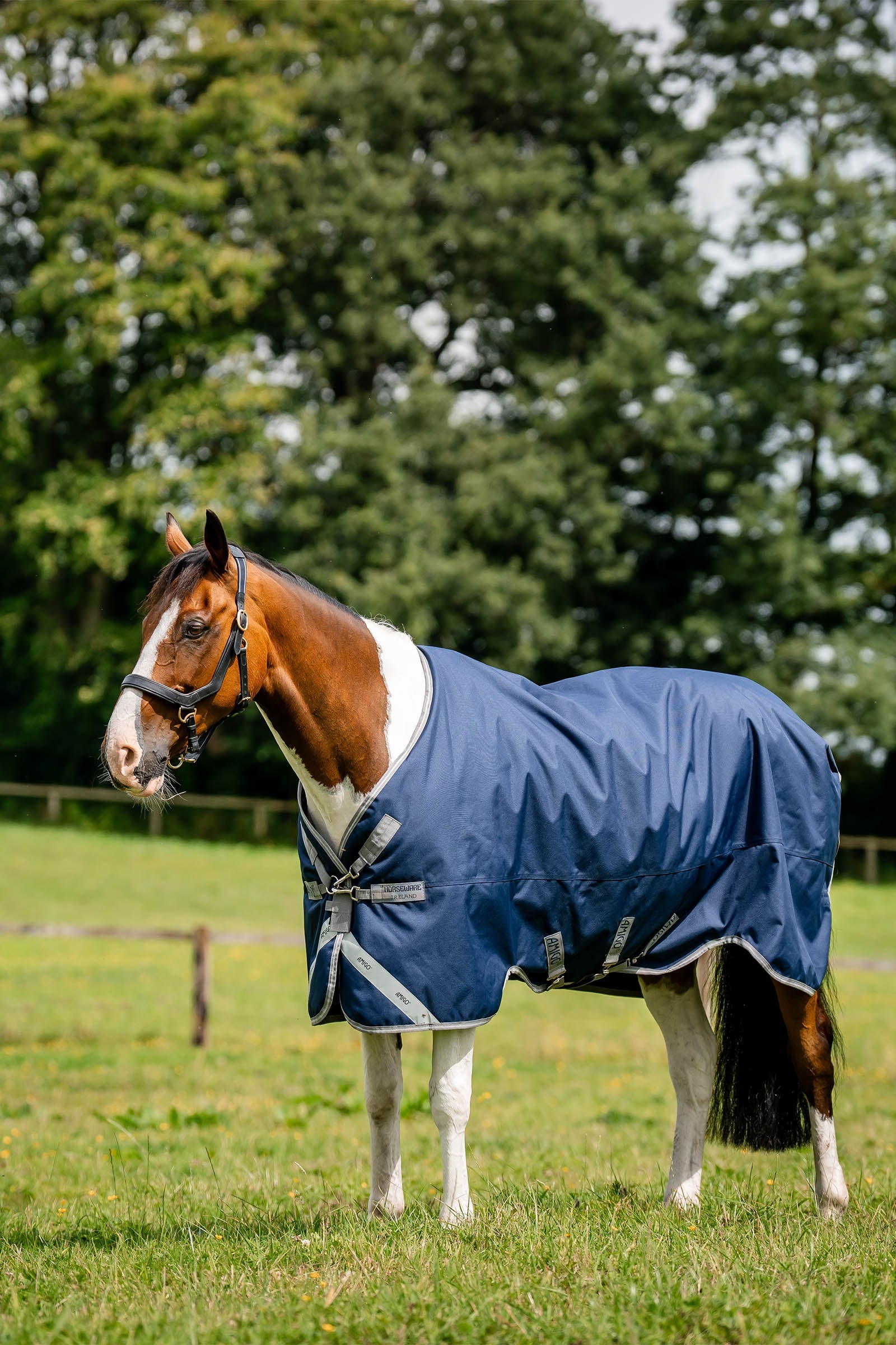 Horseware Amigo 1200D coperta da esterno, 50 g Coperte per cavalli