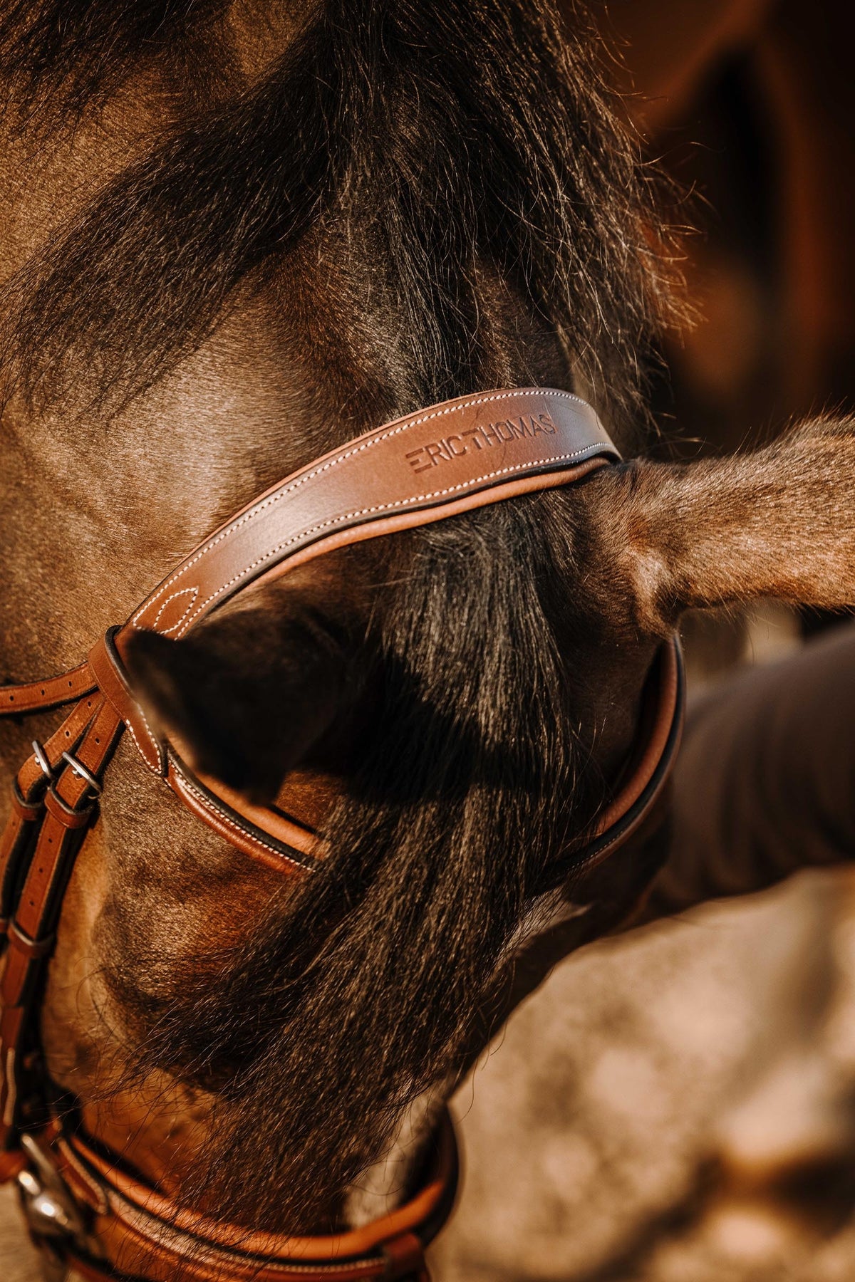 ERIC THOMAS Work Bridle Bridles & Reins