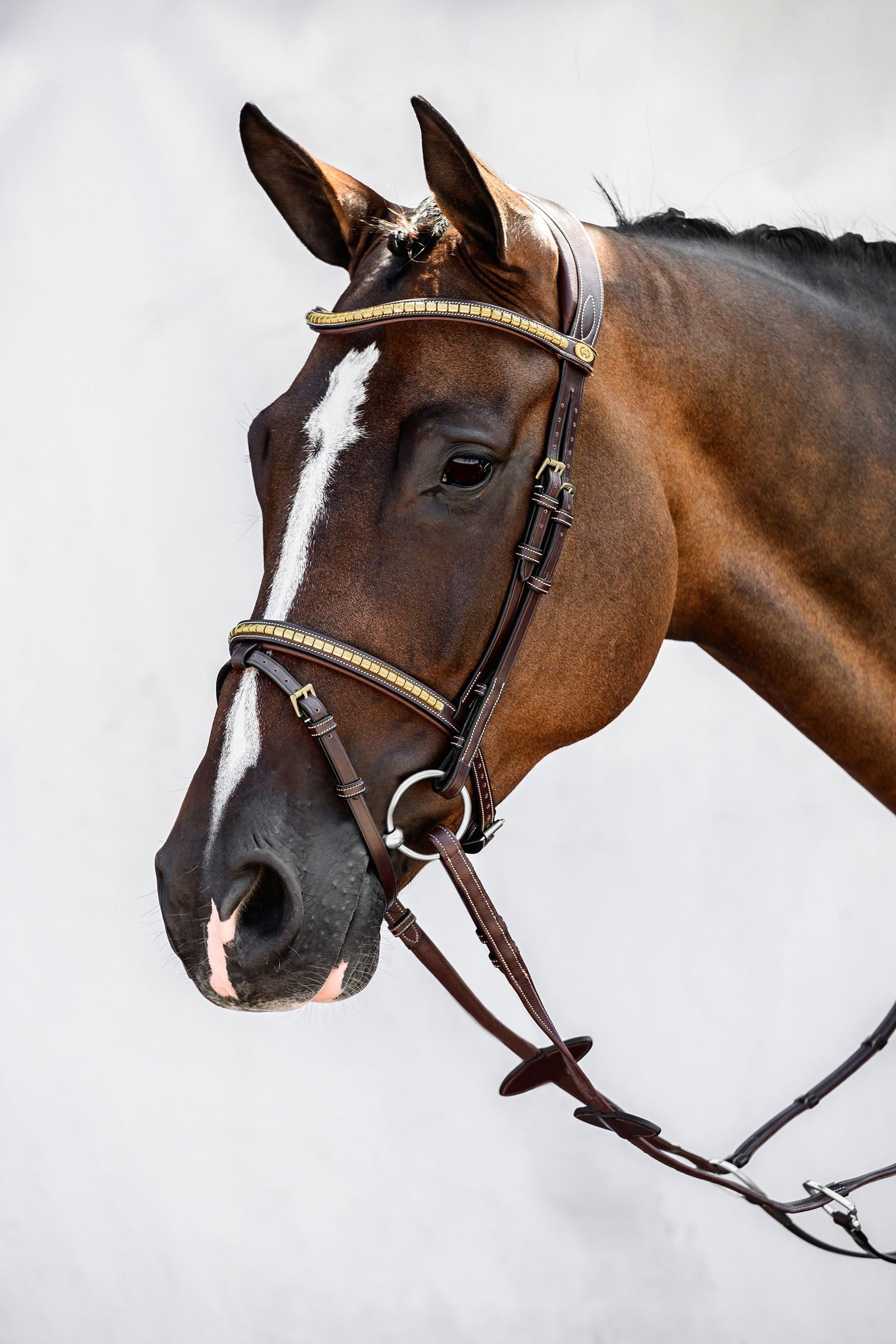 PS of Sweden Antwerp 2.0 Bridle Briglie & redini