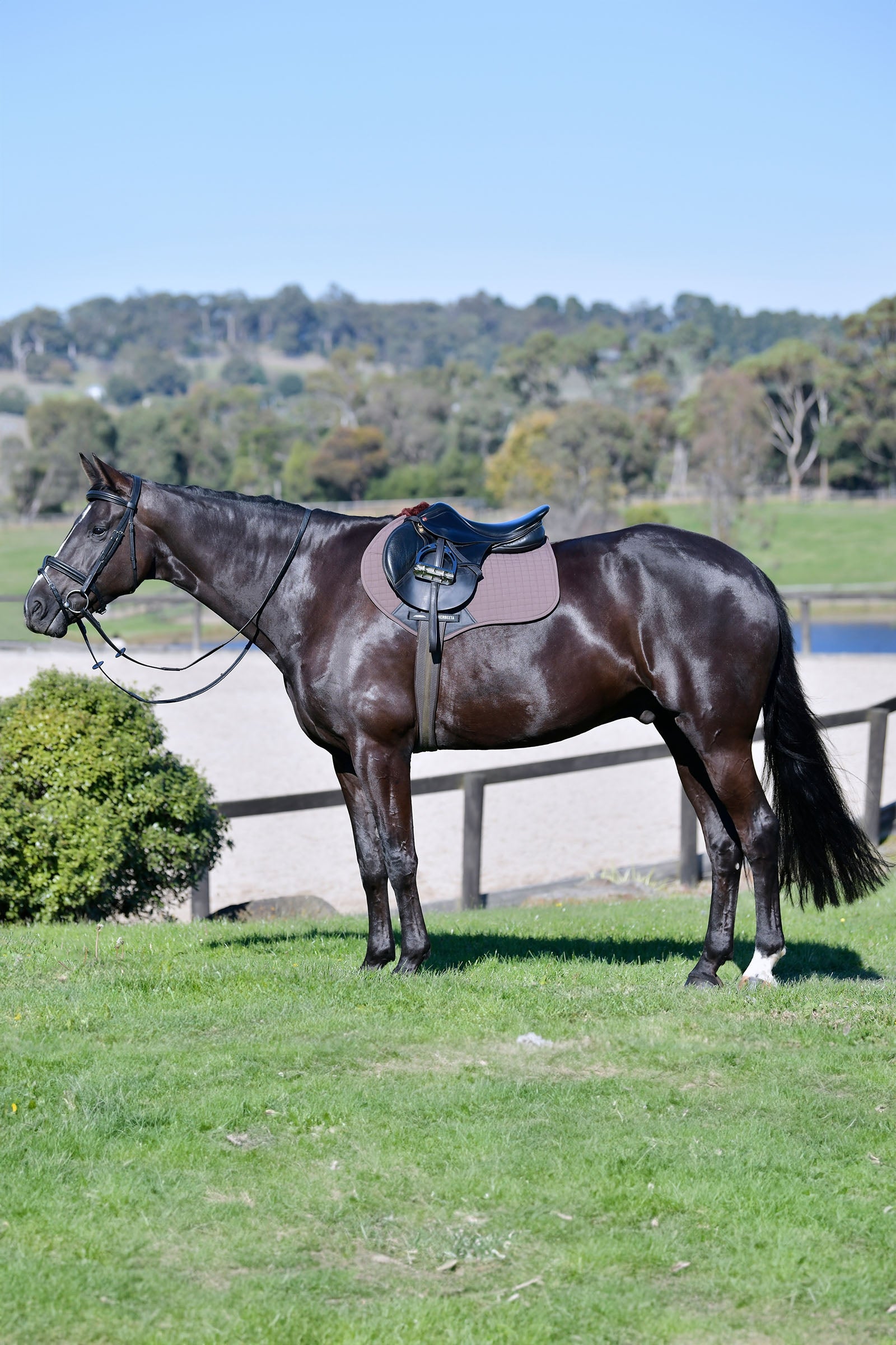 Weatherbeeta Prime Comfy Fleece Jump Shaped Saddle Pad Saddle Pads