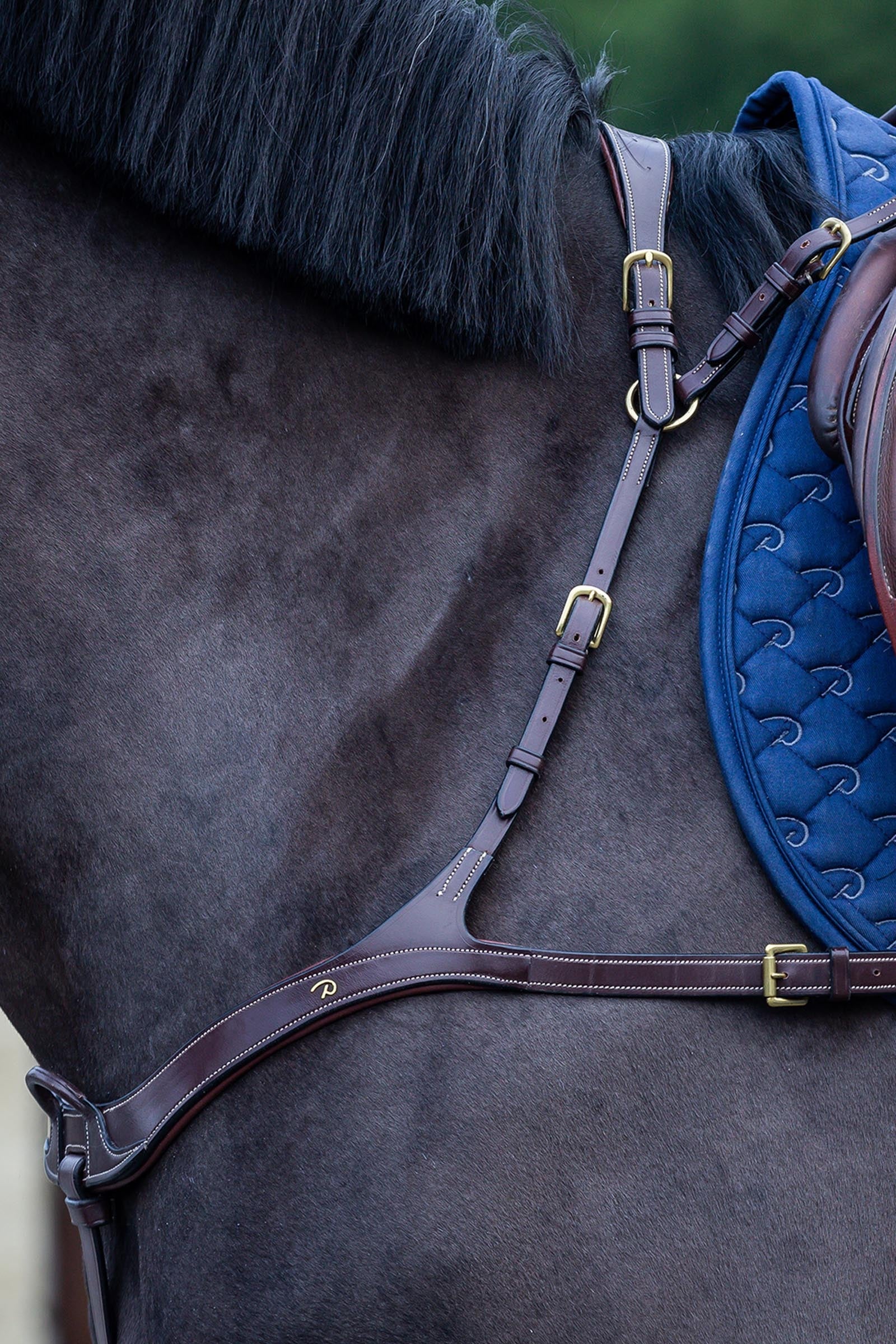 Dy'on D Collection pettorale anatomico Briglie & redini