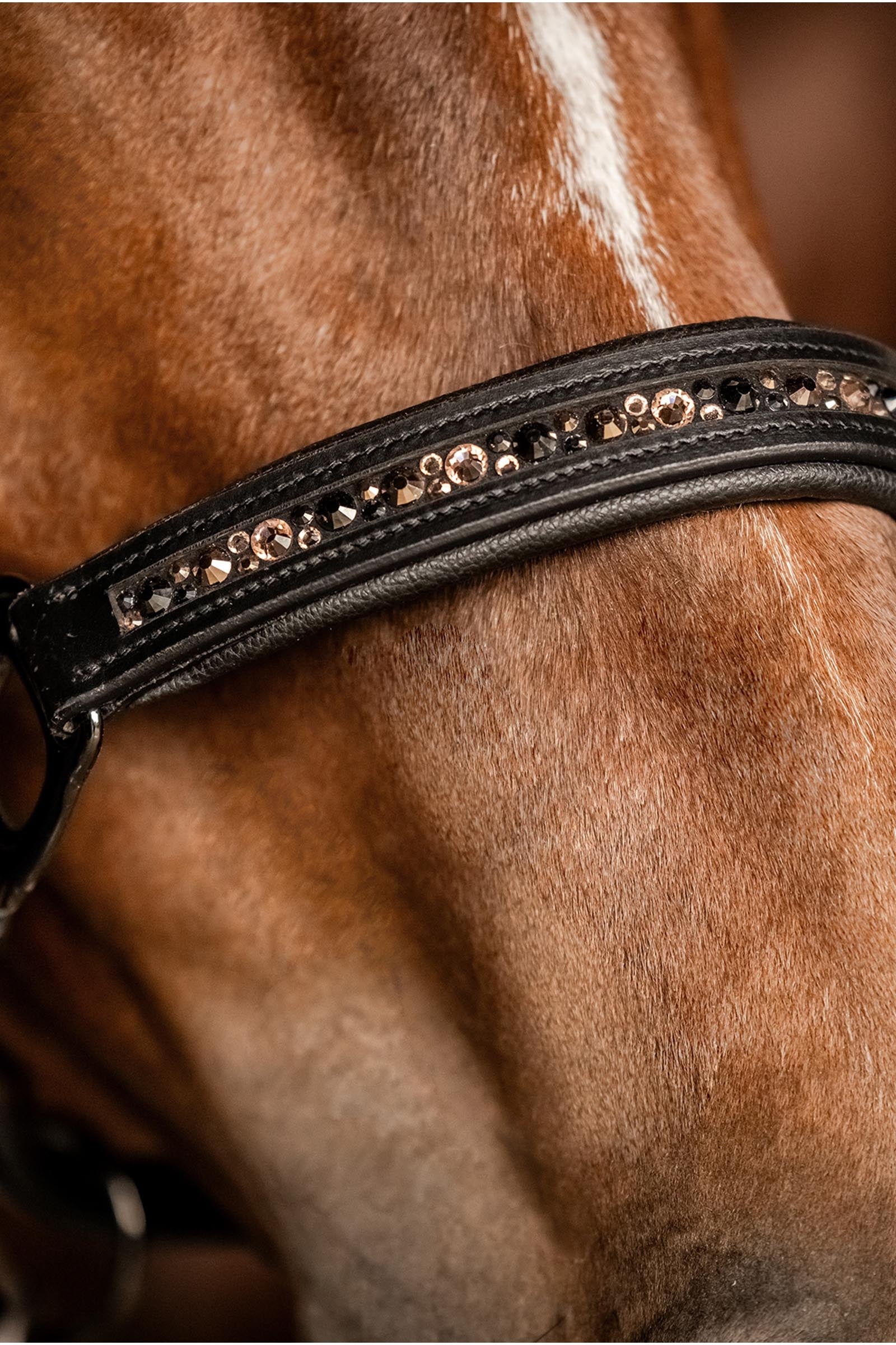 Waldhausen X-Line Leather halter Crystal Halters & Leads