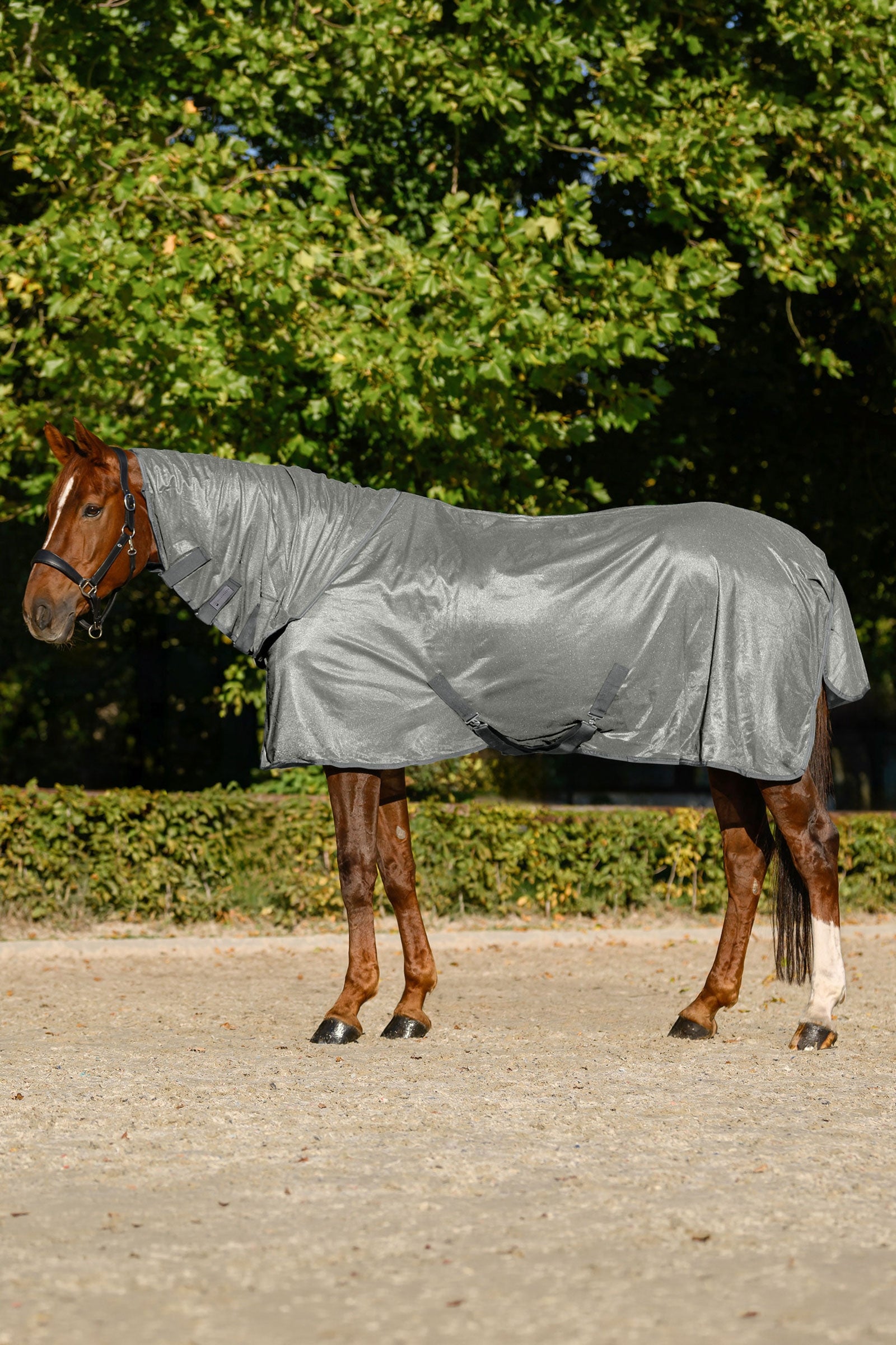 Waldhausen coperta antimosche FlyControl con collo e protezione UV Coperte per cavalli