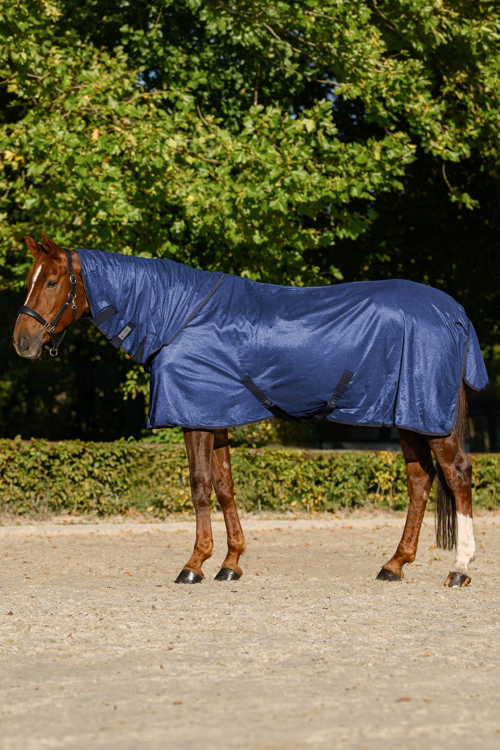 Waldhausen coperta antimosche FlyControl con collo e protezione UV Coperte per cavalli