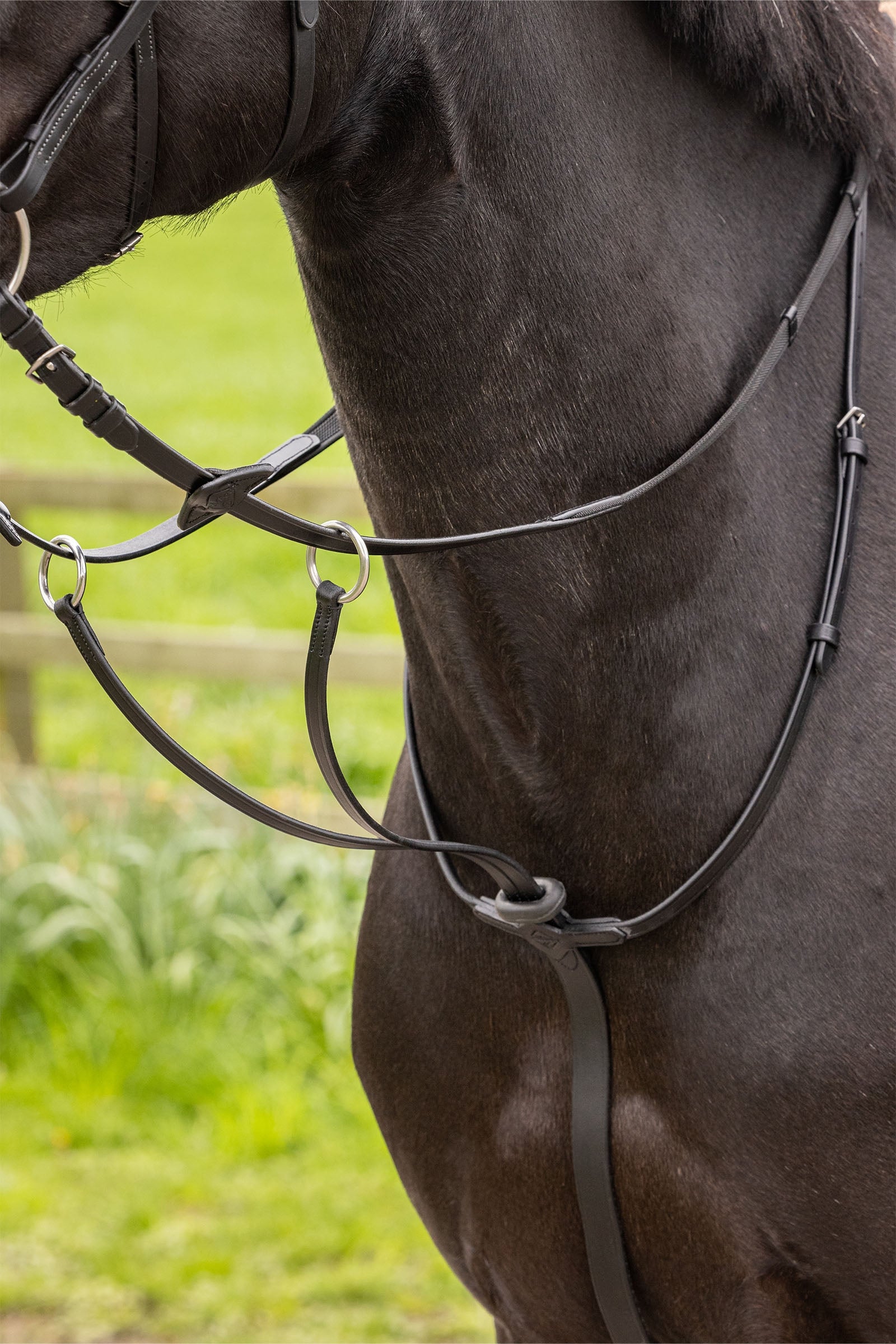 LeMieux Arika Running Martingale Bridles & Reins