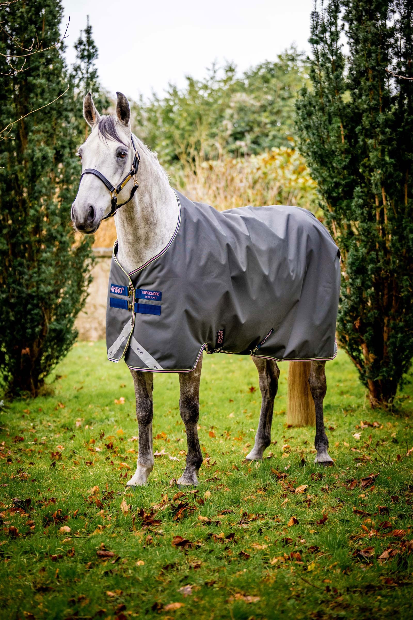 Horseware Amigo Bravo 12 coperta da paddock, 0 g Coperte per cavalli