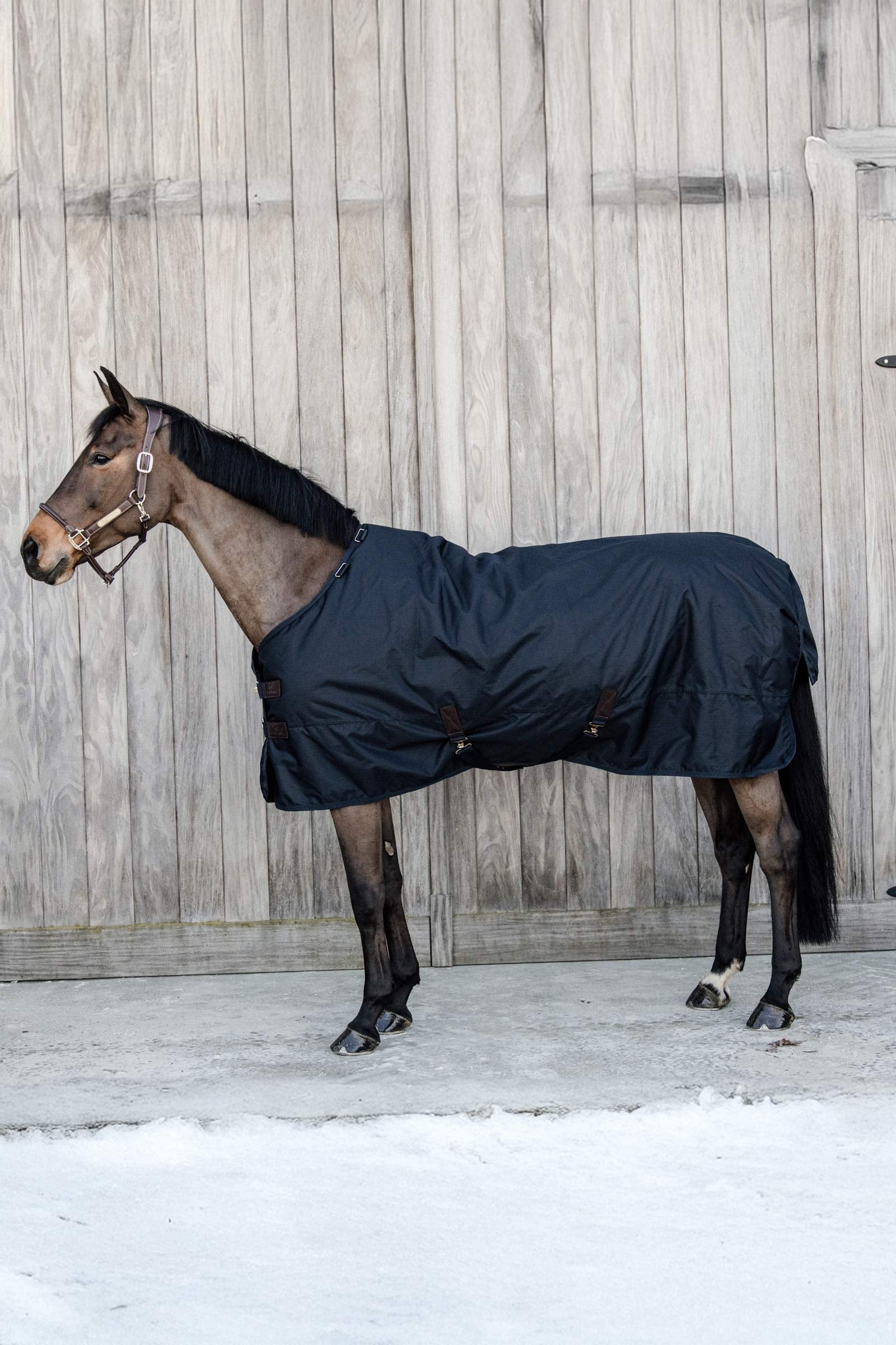 Kentucky Horsewear Pony All Weather Classic Turnout Rug, 0g Horse Rugs