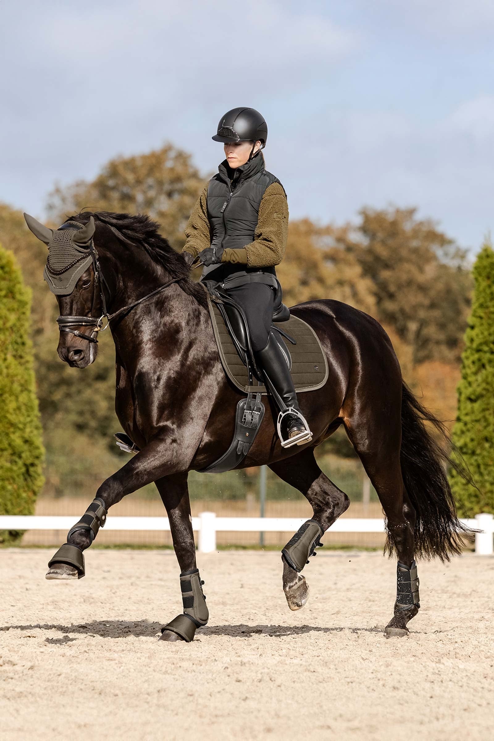 Waldhausen St. Gallen All Purpose Saddle Pad Sottosella