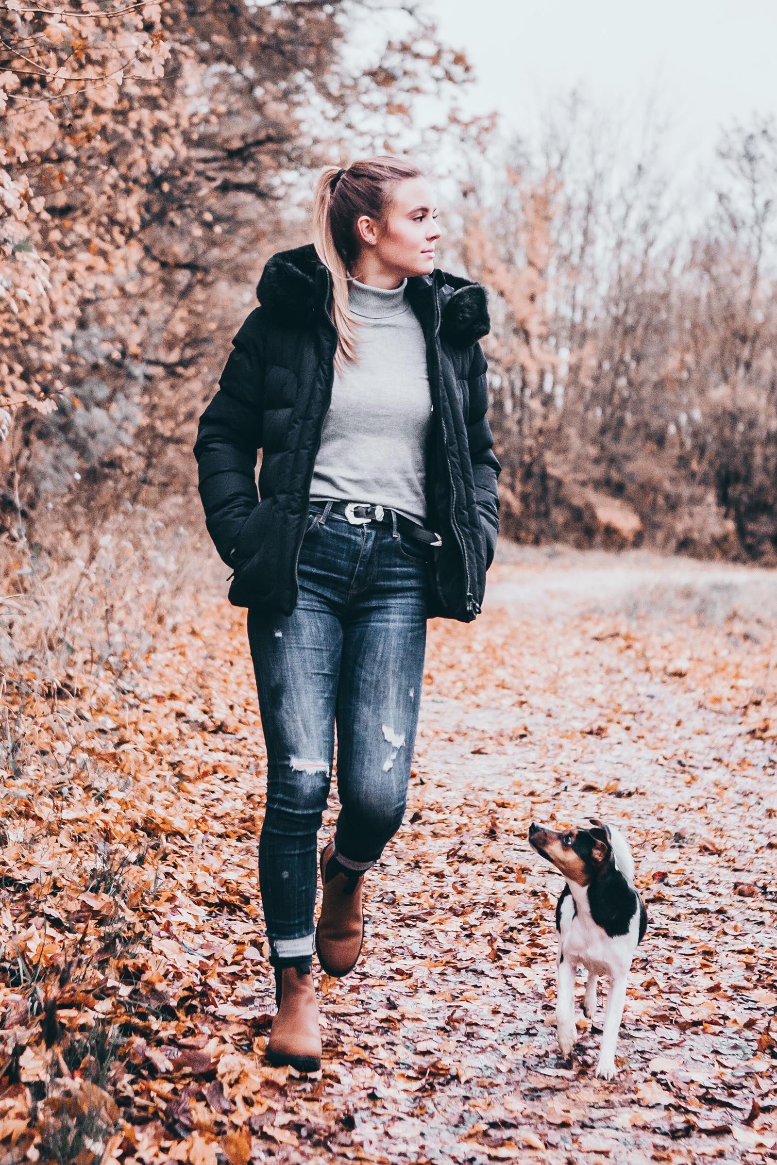 Suedwind Footwear New Work Chelsea Boots Riding Boots & Riding Shoes