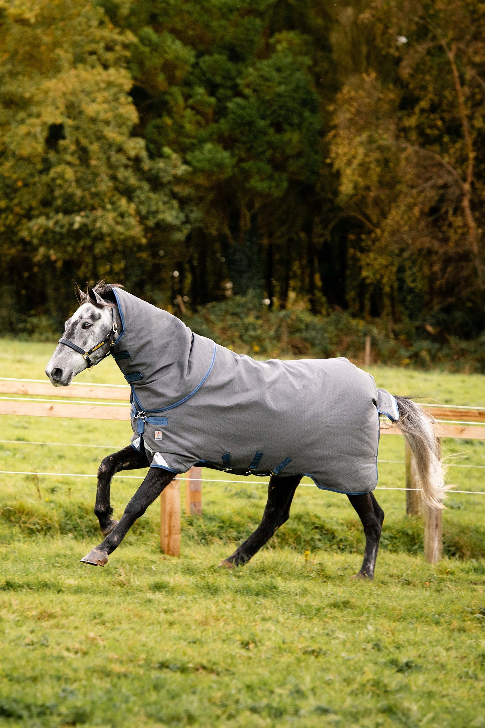 Horseware Rhino Plus HexSTOP Coperta da Pascolo, 0g Coperte per cavalli