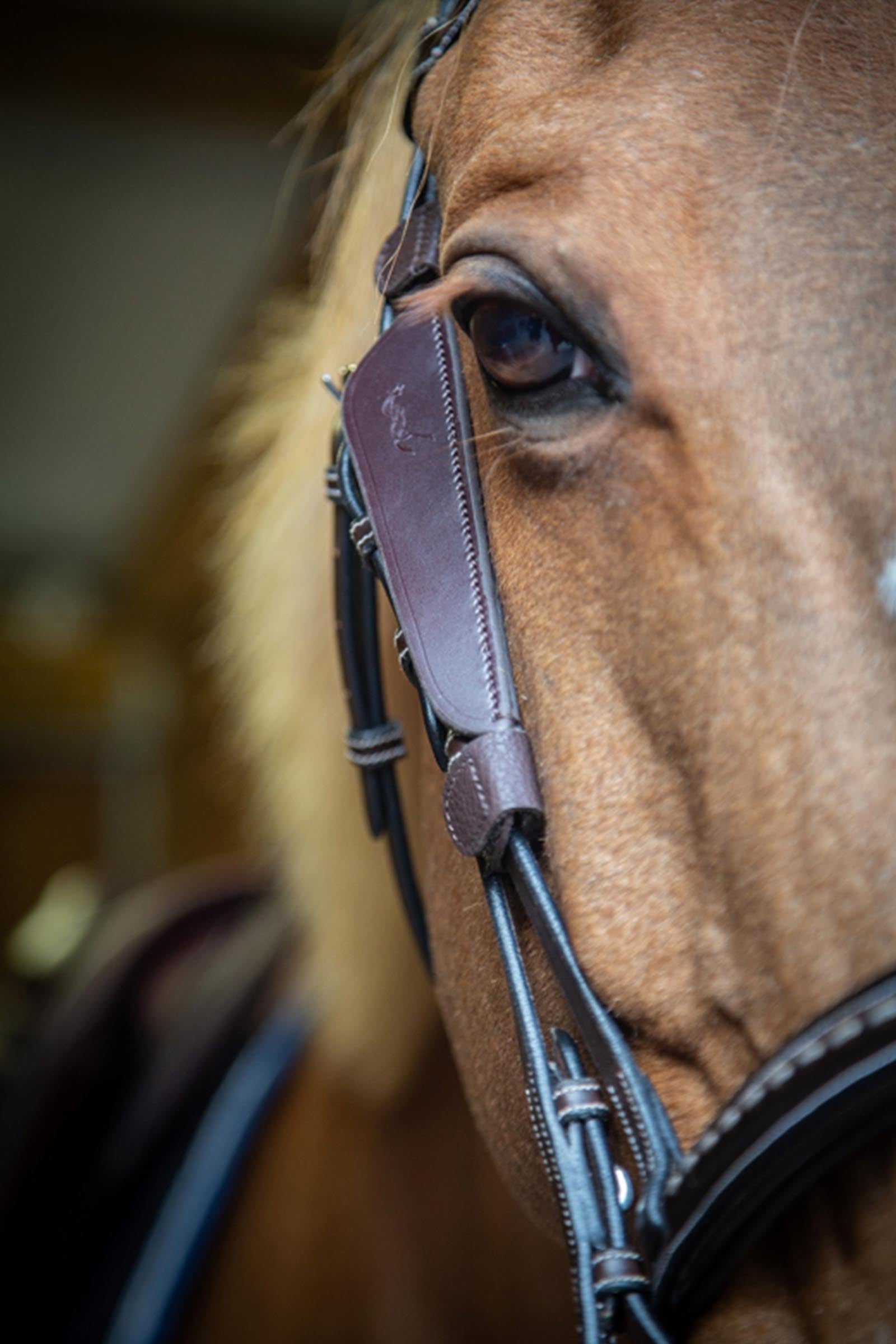 PENELOPE Blinkers Racing Tack