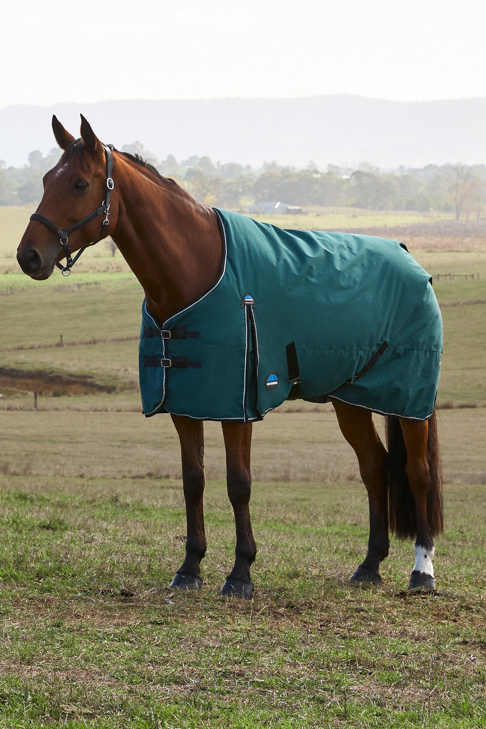Weatherbeeta ComFiTec Classic Turnout Standard Neck 220G Coperte per cavalli