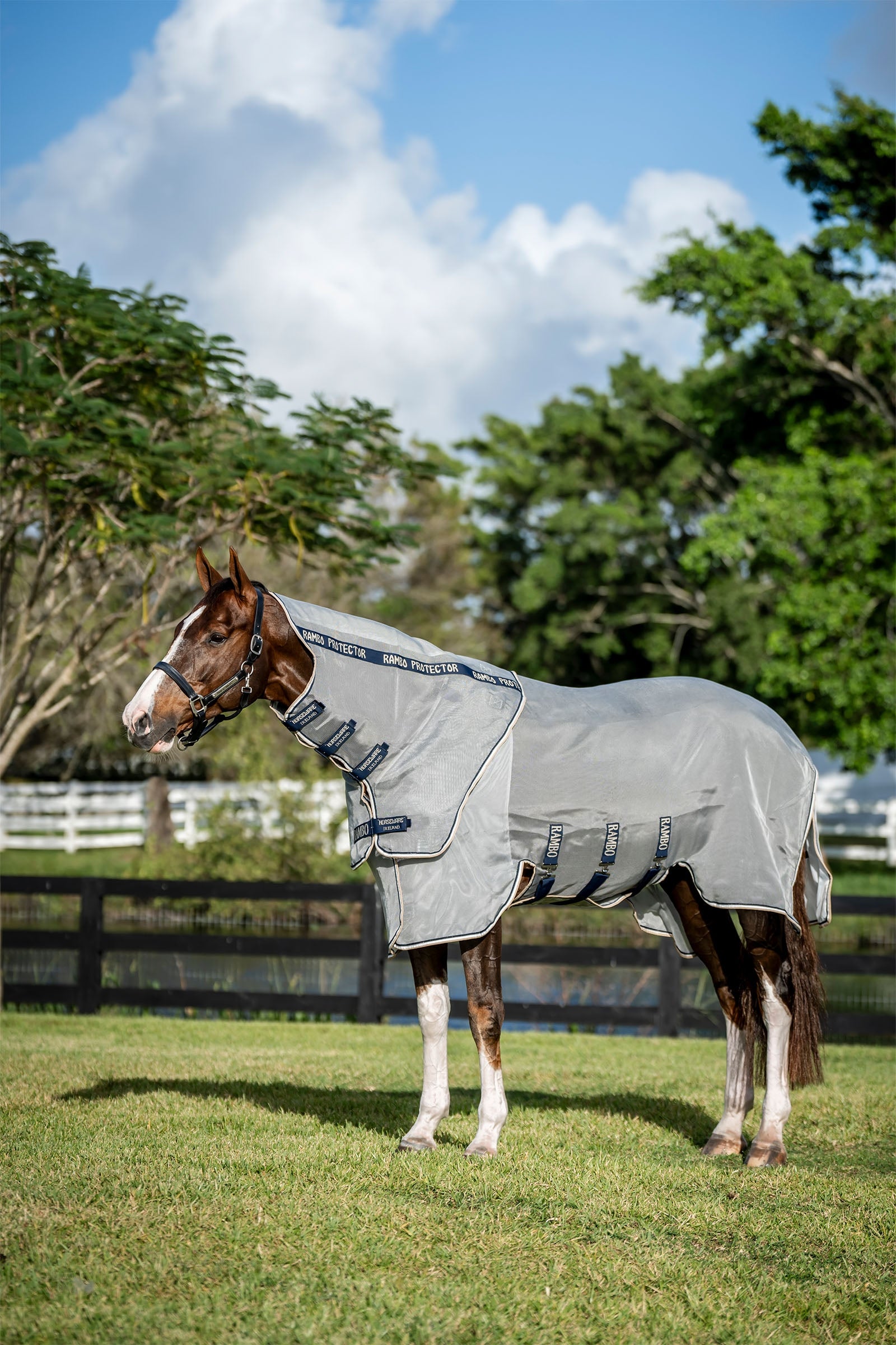 Horseware Rambo Protector Fieldsafe Plus Coperte per cavalli