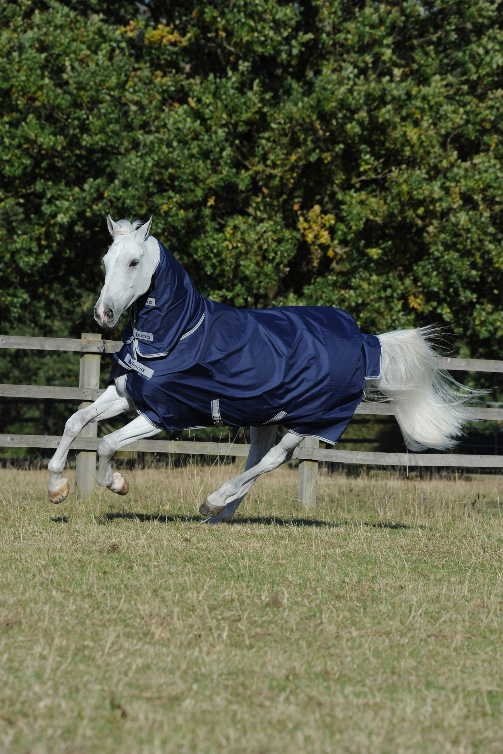 Bucas Freedom coperta per esterno leggera con collo intero fisso, 0g Coperte per cavalli