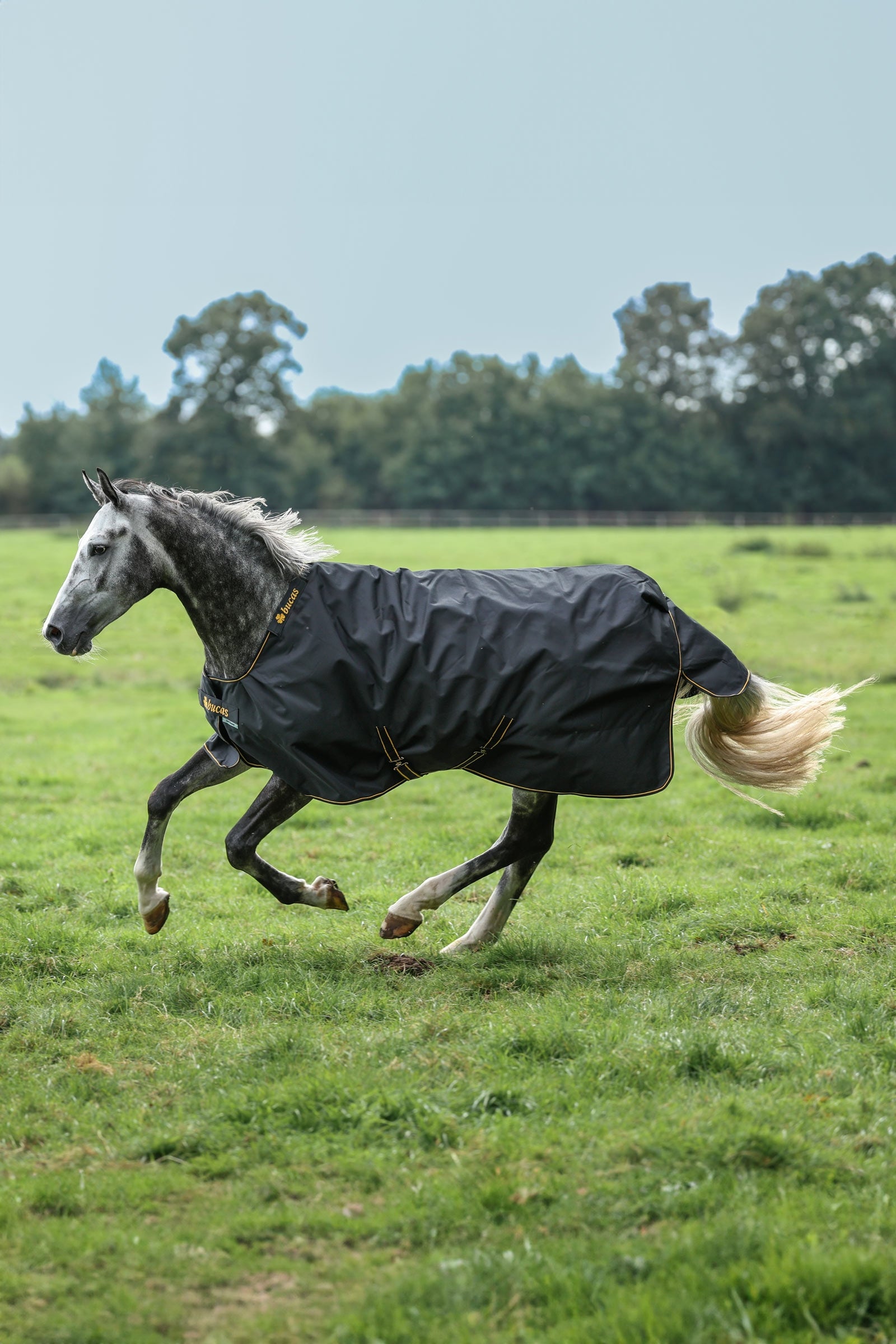 Bucas Irish coperta per esterno, 150g Coperte per cavalli