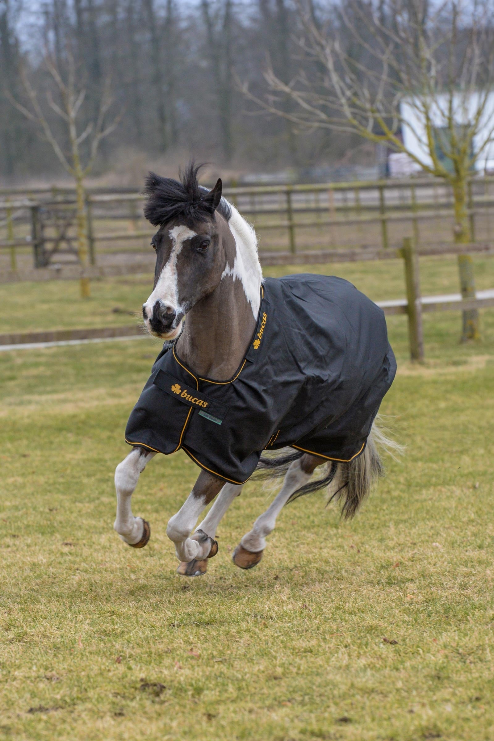 Bucas Irish Turnout Rug, 150g Horse Rugs