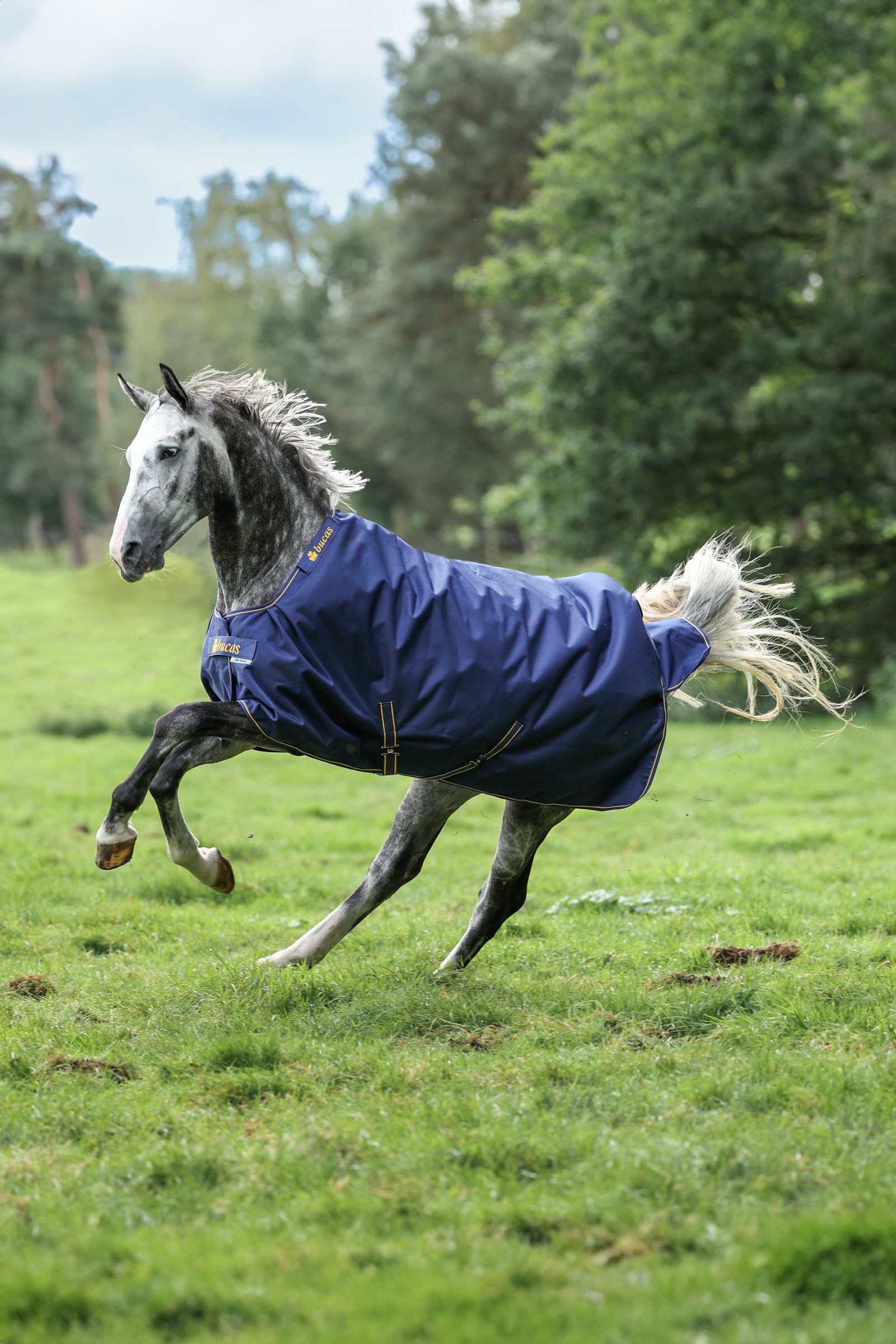 Bucas Irish coperta per esterno, 150g Coperte per cavalli