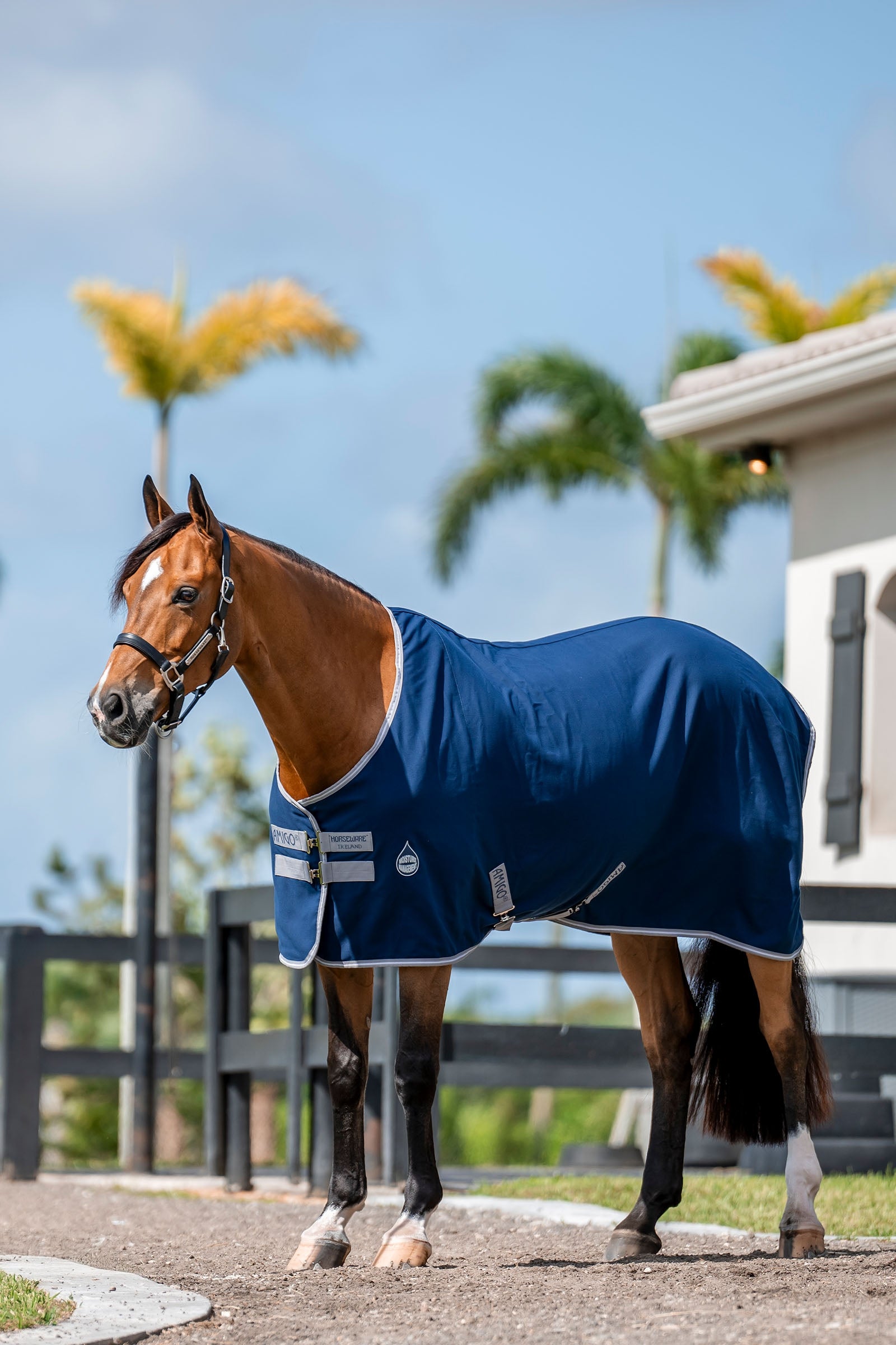 Horseware Amigo Coperta da stalla, 0g Coperte per cavalli