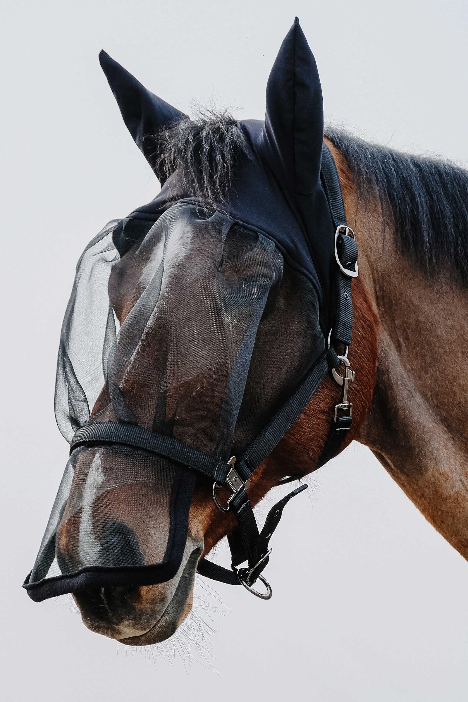 Equi Theme EQUITHÈME Halter + Anti UV Mask Antifly Protection for Horses