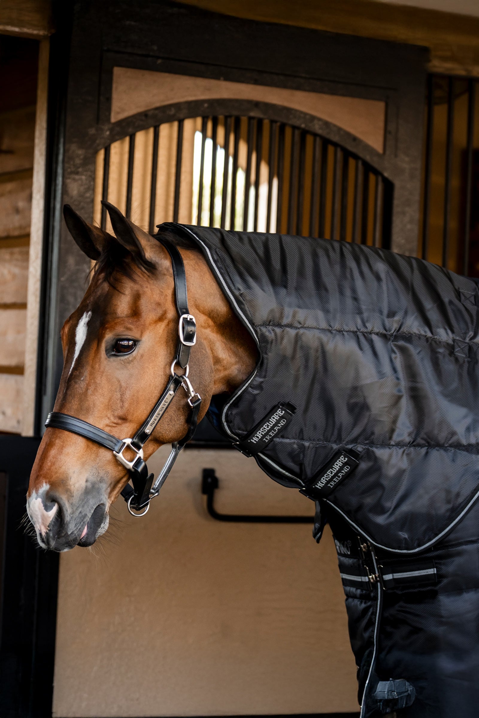 Horseware Amigo Ripstop Insulator Plus coperta da box, 200 g Coperte per cavalli