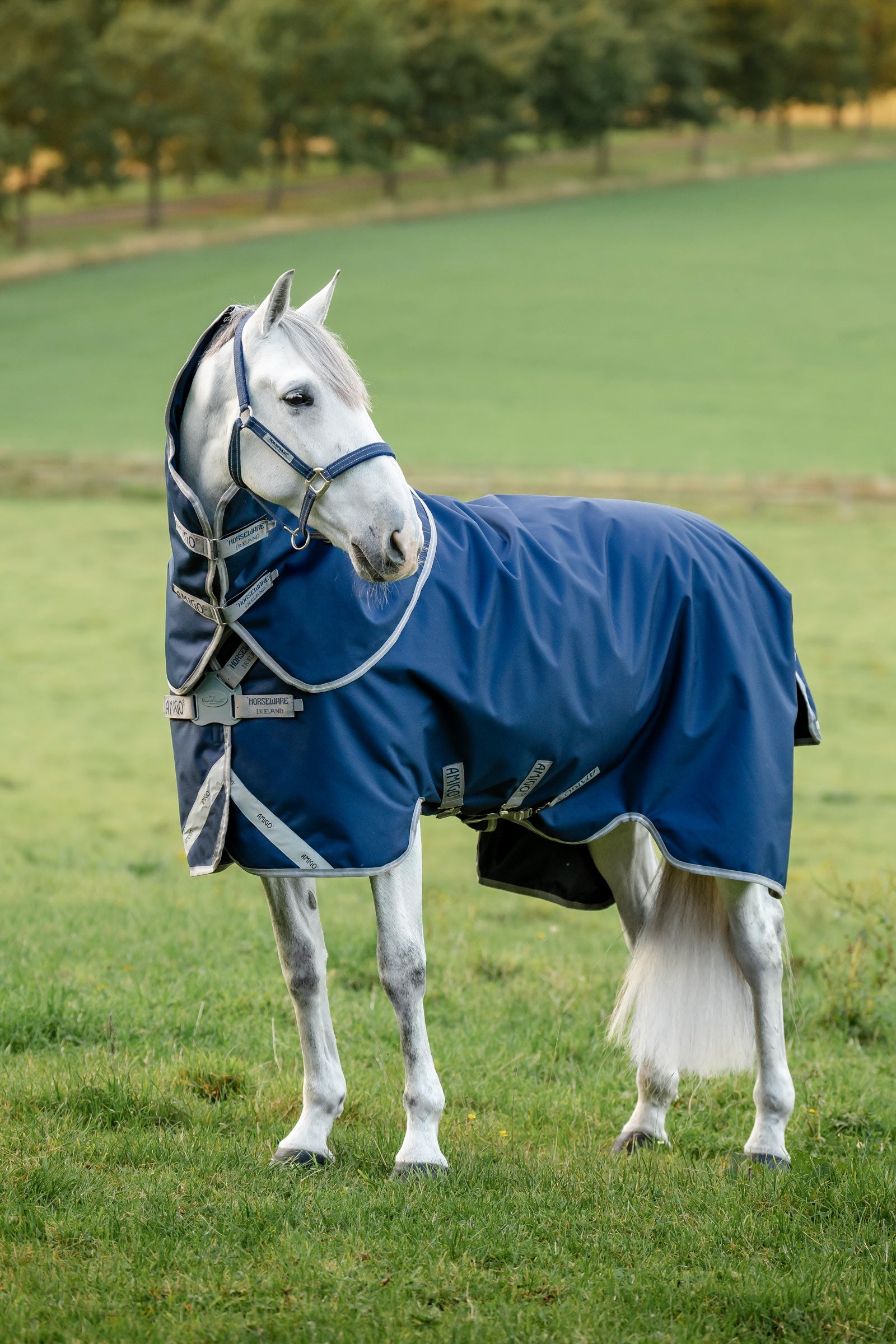 Horseware Amigo 1200D FieldSafe Plus coperta da esterno, 0 g Coperte per cavalli