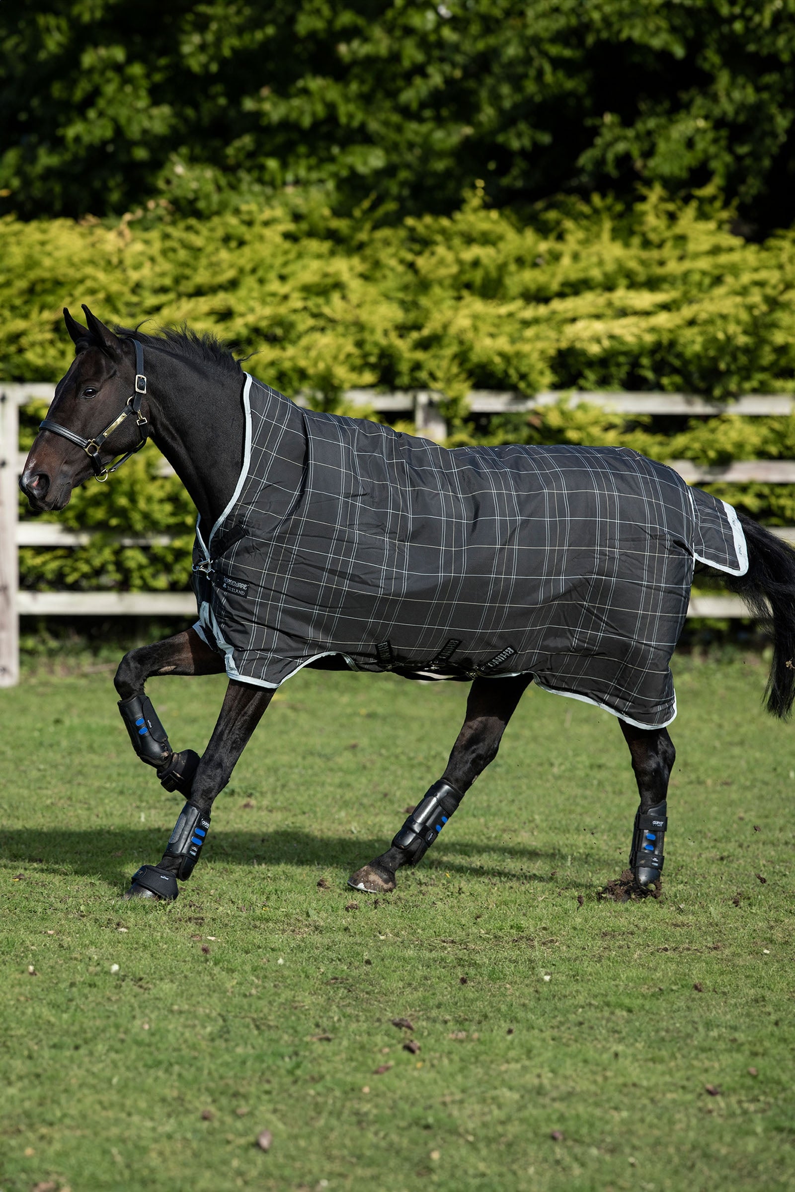 Horseware Rhino Wug coperta da paddock, 100 g Coperte per cavalli