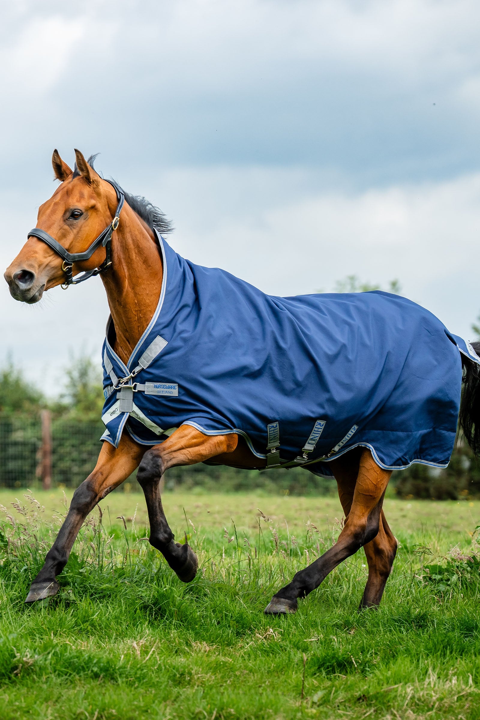 Horseware Rhino Wug coperta da paddock, 100 g Coperte per cavalli
