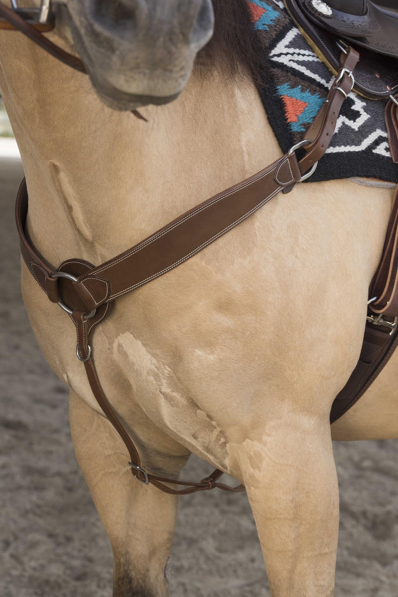 WESTRIDE Billy pettorale western by Franck Perret Briglie & redini
