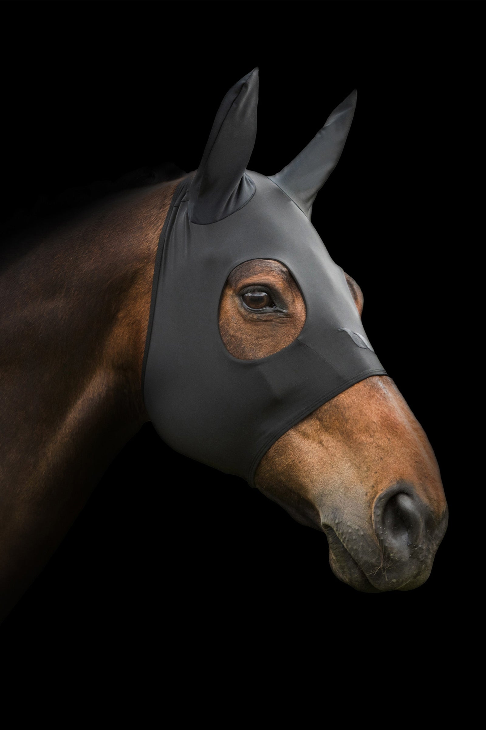 Back on Track Spirit Calming Mask with ears Antifly Protection for Horses