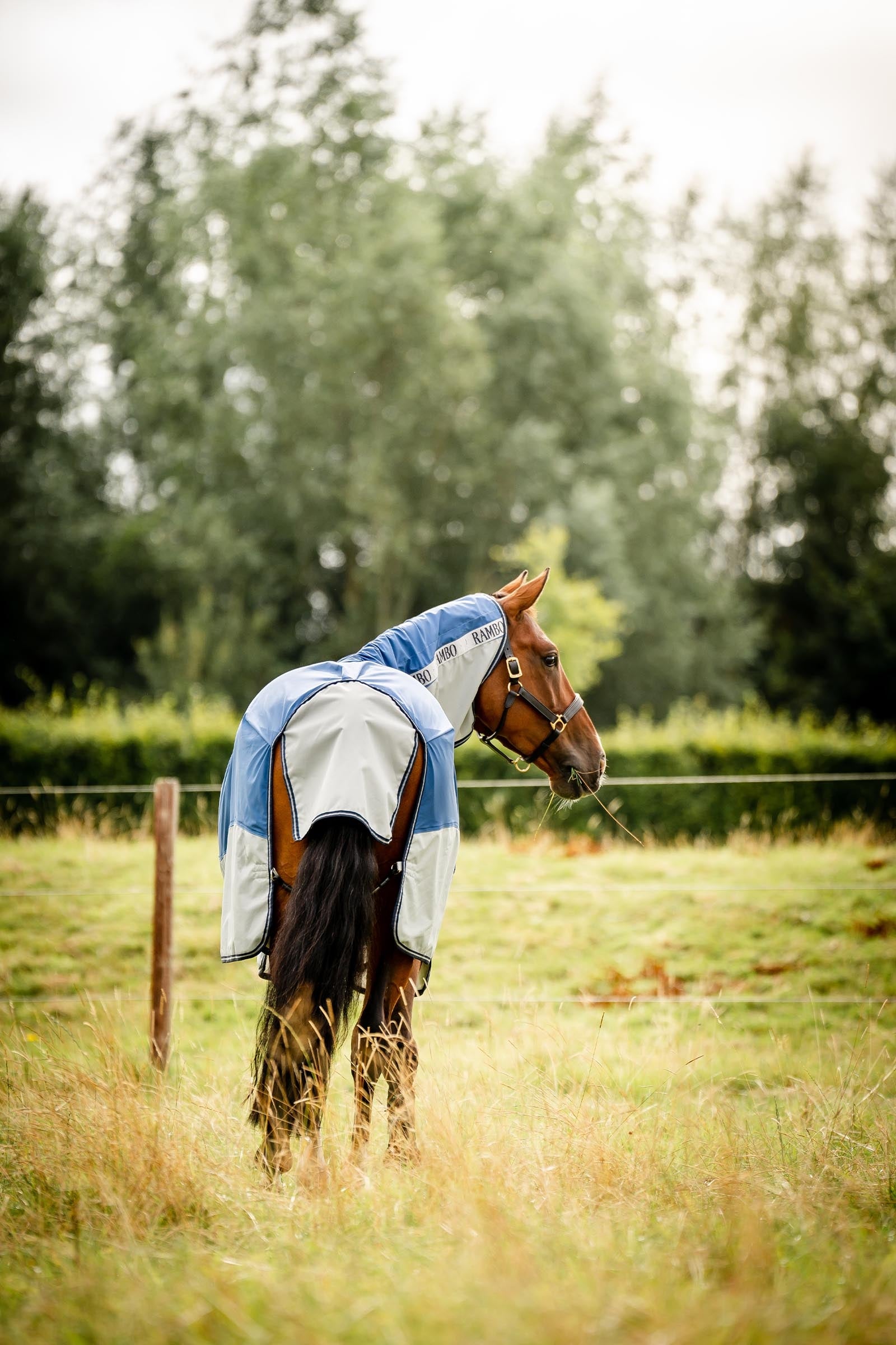 Horseware Rambo Autumn Series Turnout Rug With Liner (0g / 100g) Horse Rugs