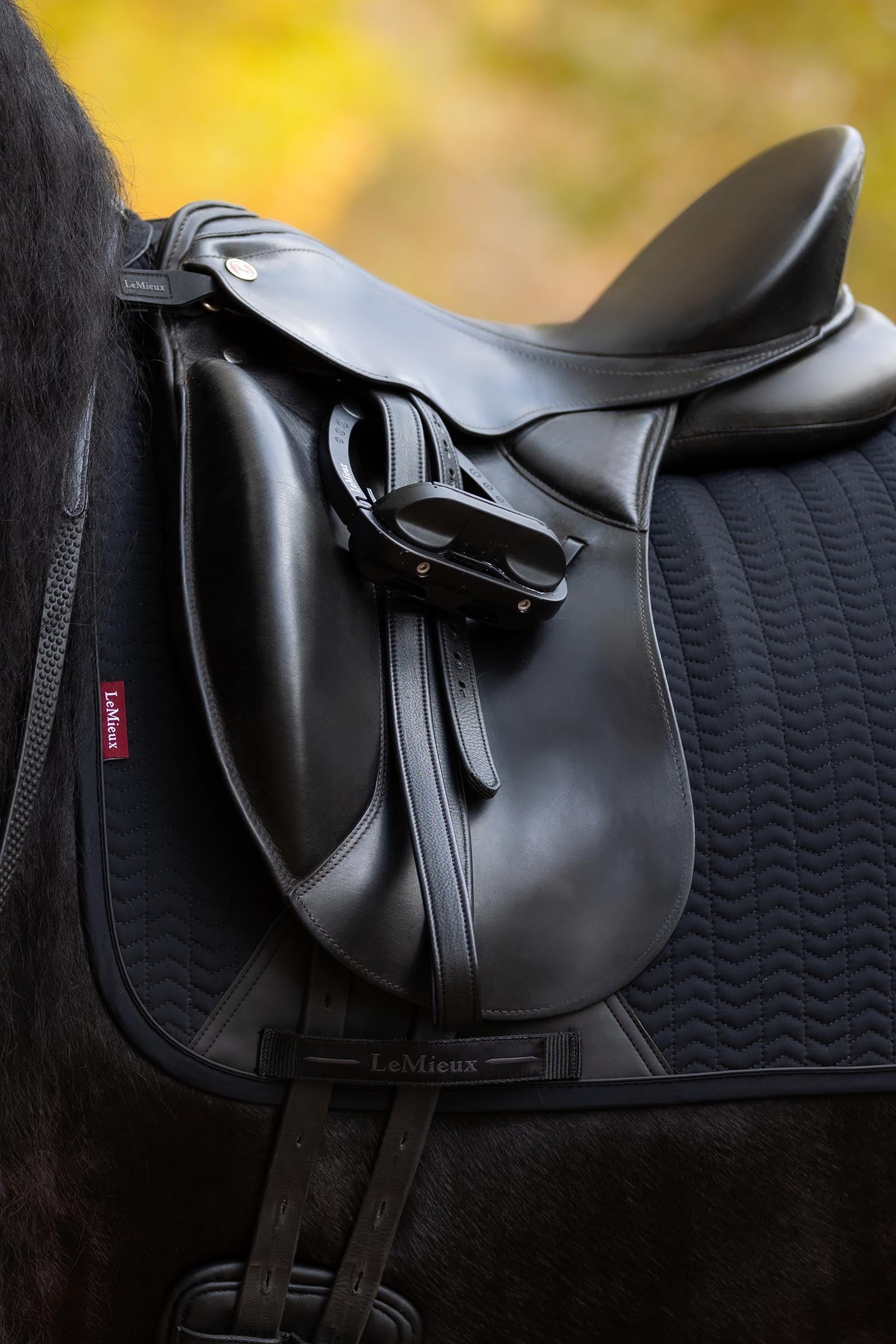 LeMieux Essence Dressage Saddle Pad Saddle Pads