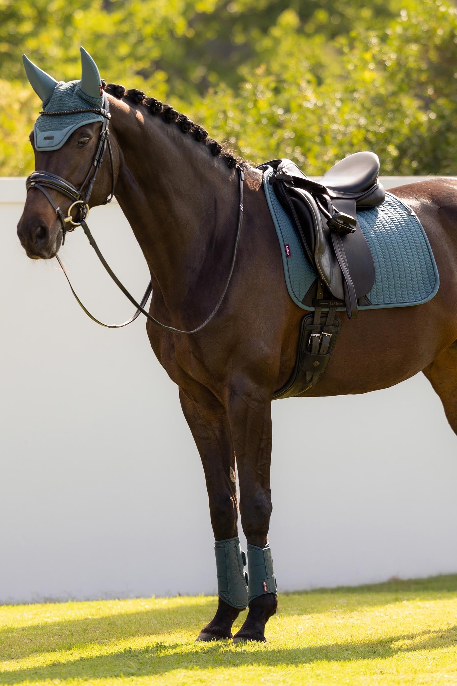 LeMieux Essence Dressage Saddle Pad Saddle Pads