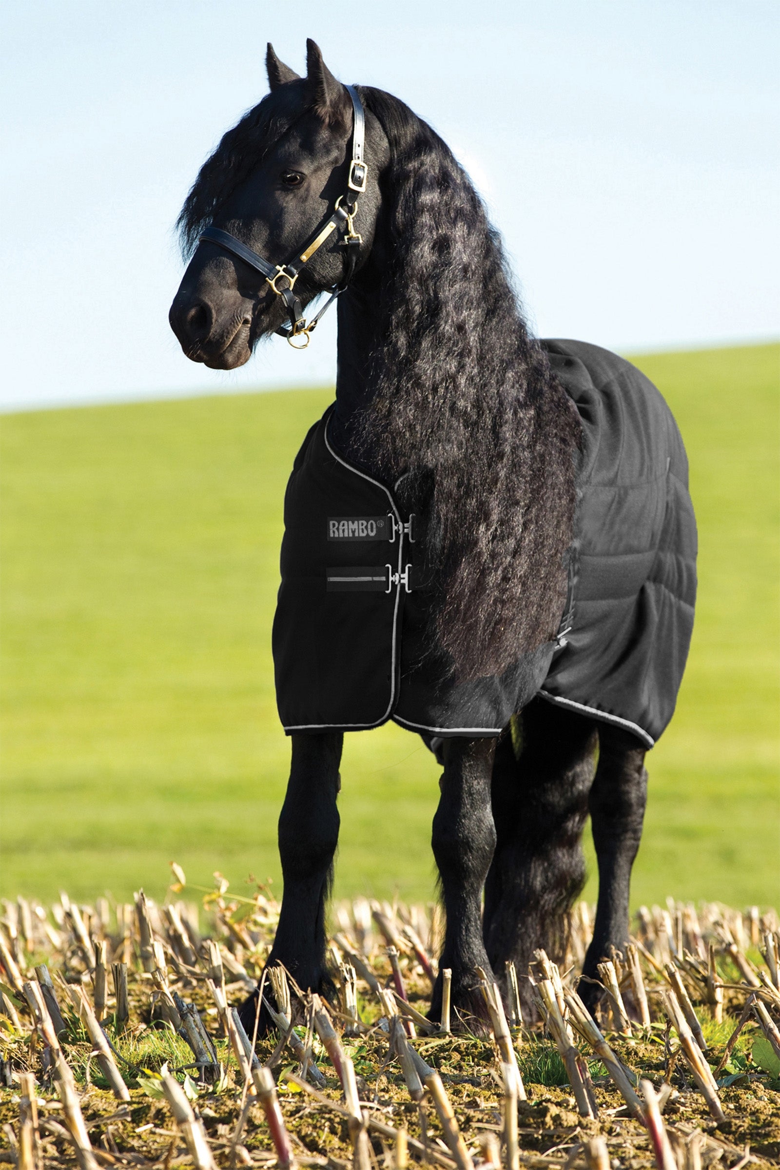 Horseware Rambo Stable 200g Coperte per cavalli