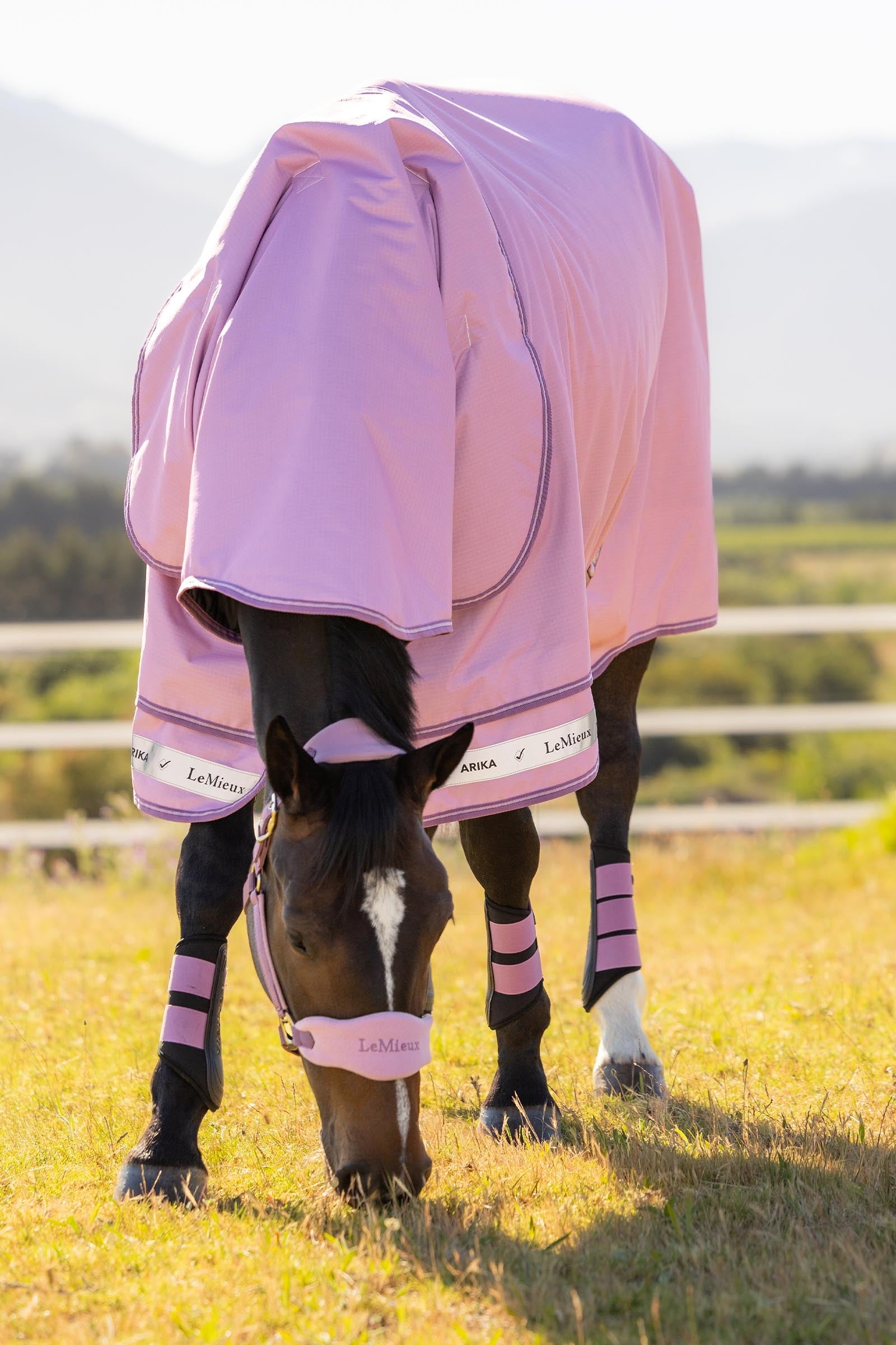 LeMieux Arika Ripstop Turnout Rug With Detachable Neck, 0 g Horse Rugs