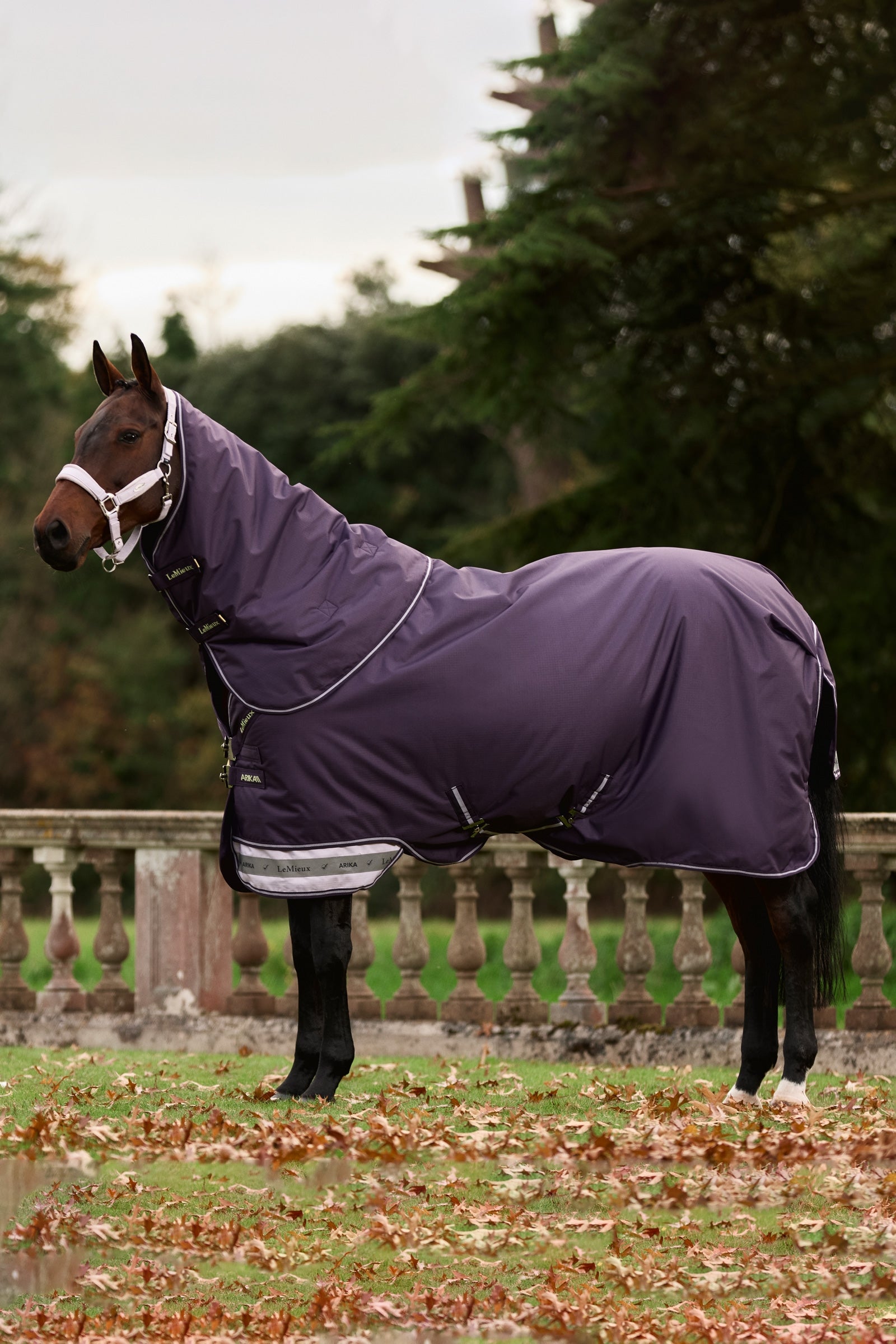LeMieux Arika Ripstop Turnout Rug With Detachable Neck, 0 g Coperte per cavalli
