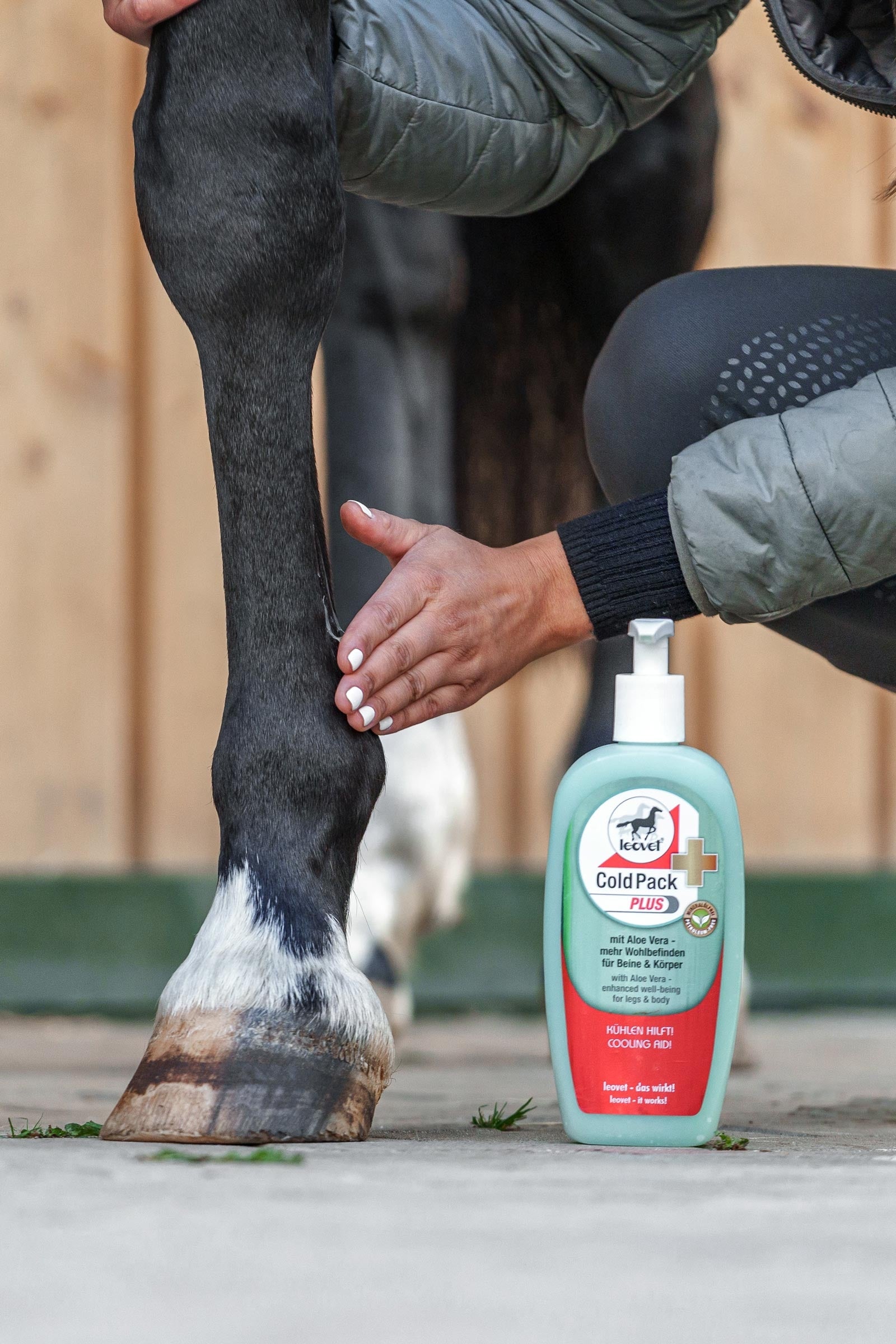 Leovet Cold Pack Plus 500ml Horse Health Care