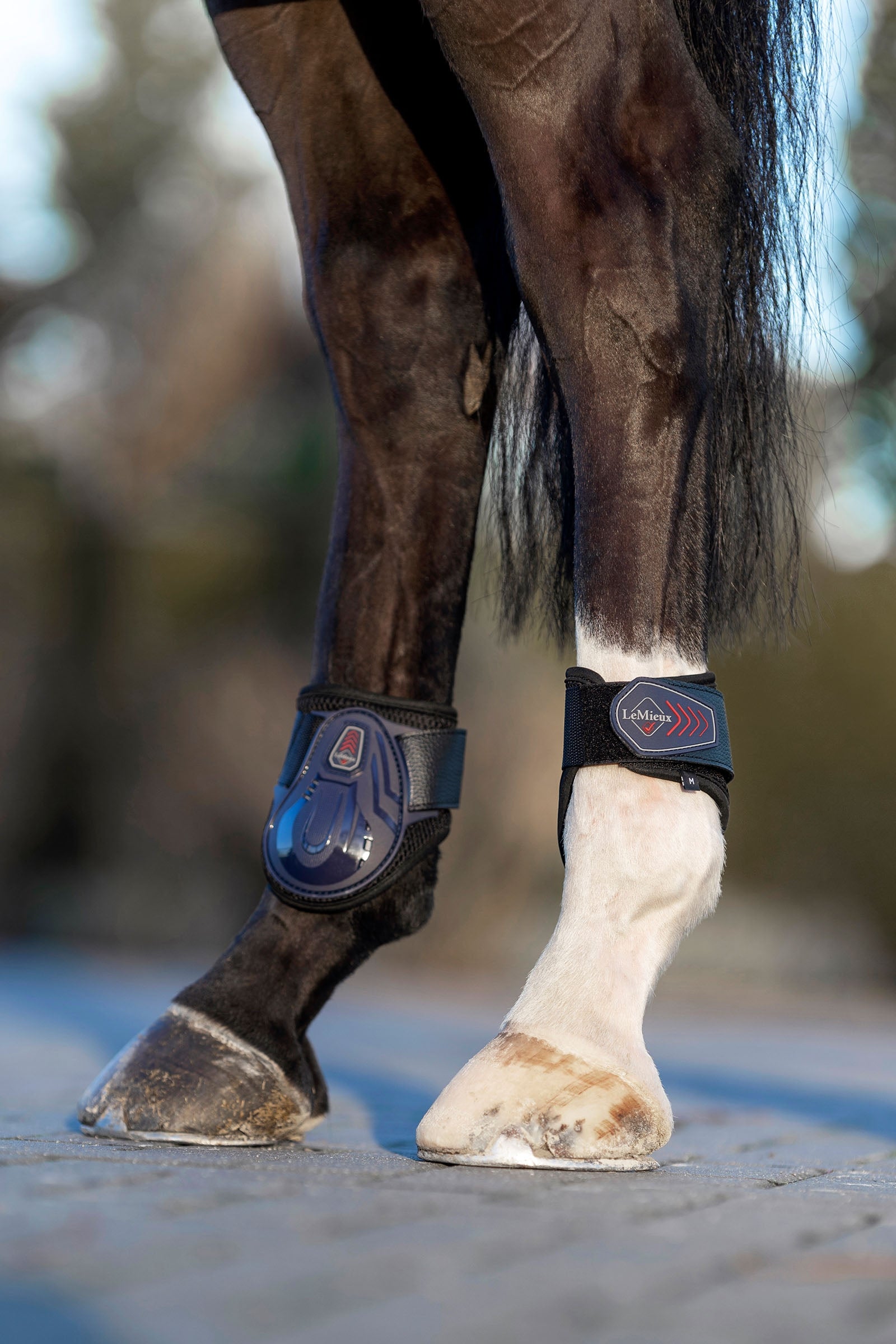 LeMieux Derby ProJump Fetlock Boot Leg & Hoof Protection