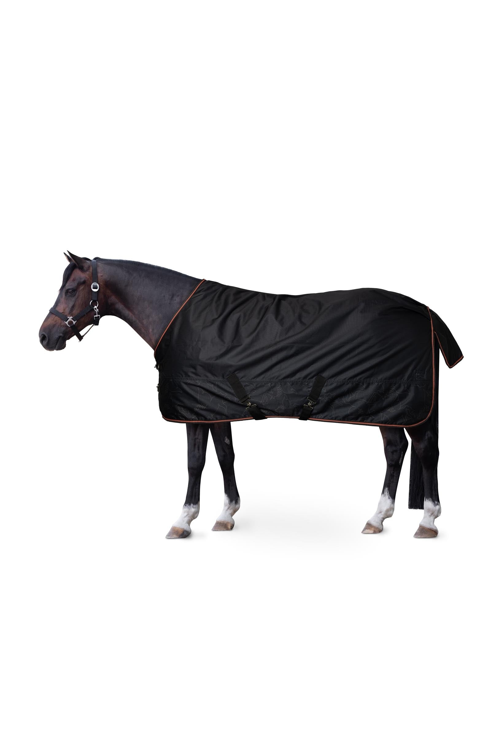 Horze Coperta da esterno per pony Pegasus con fodera in pile Coperte per cavalli