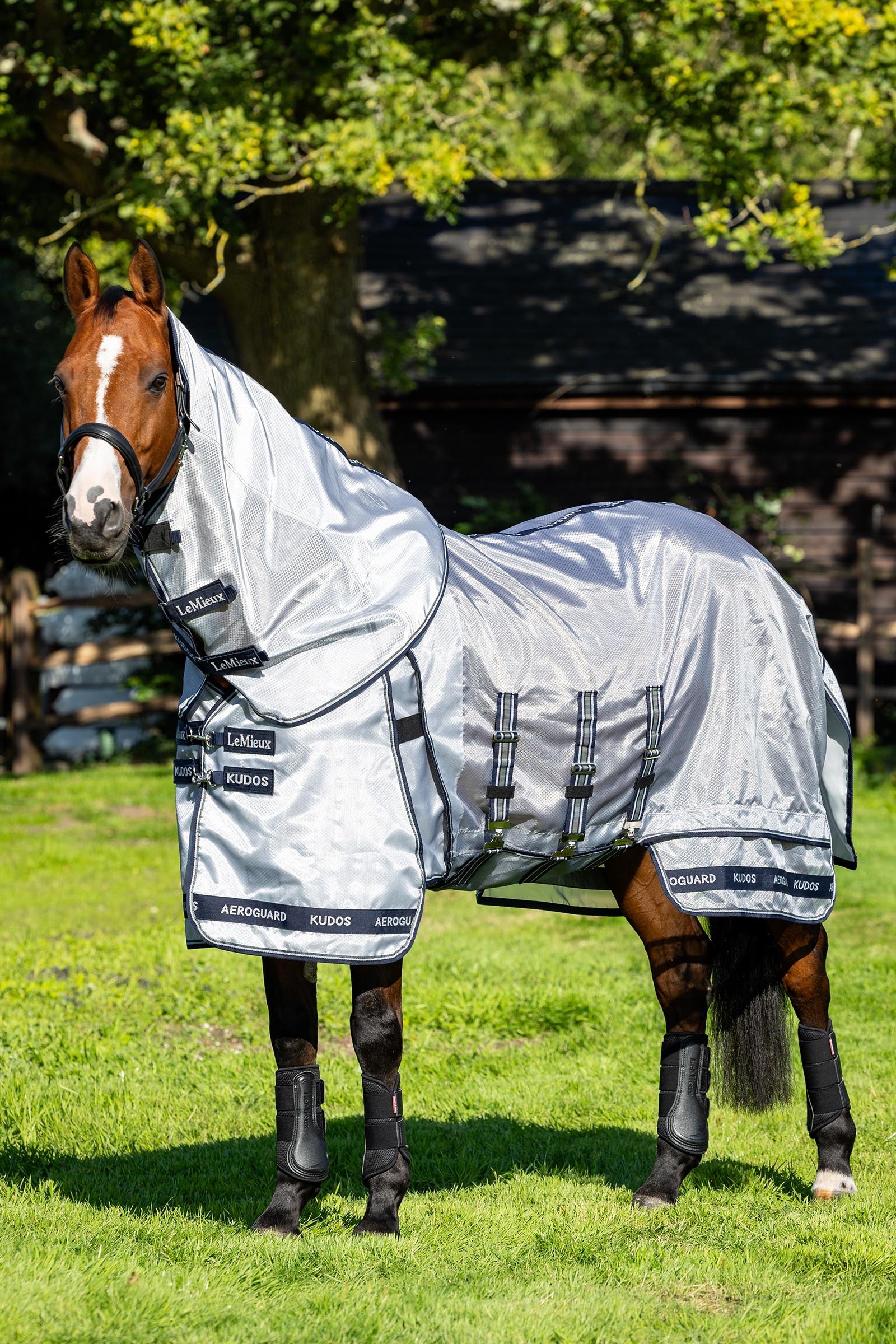 LeMieux Kudos AeroGuard coperta antimosche con collo rimovibile Coperte per cavalli