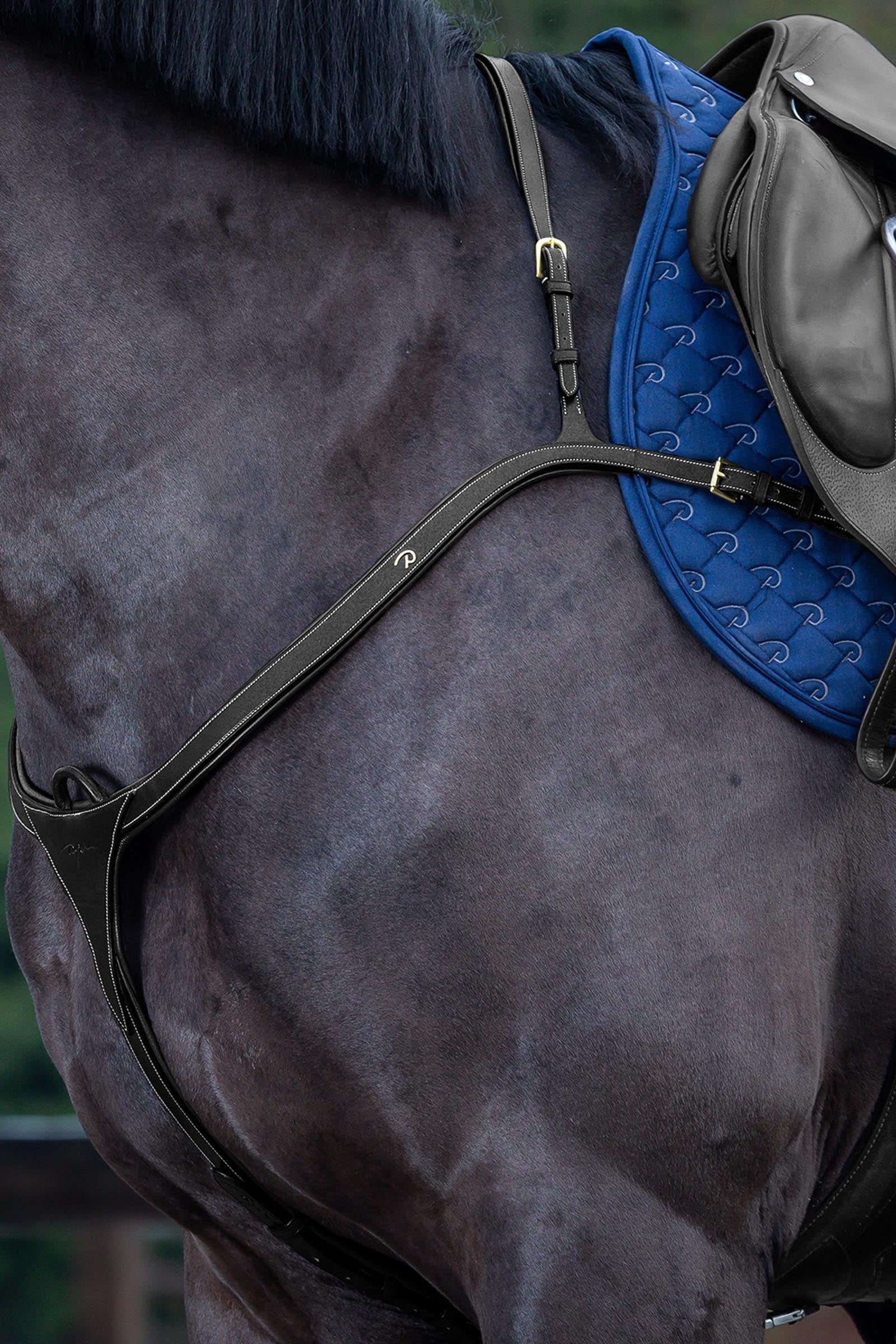 Dy'on D Collection pettorale con ponte lungo Briglie & redini