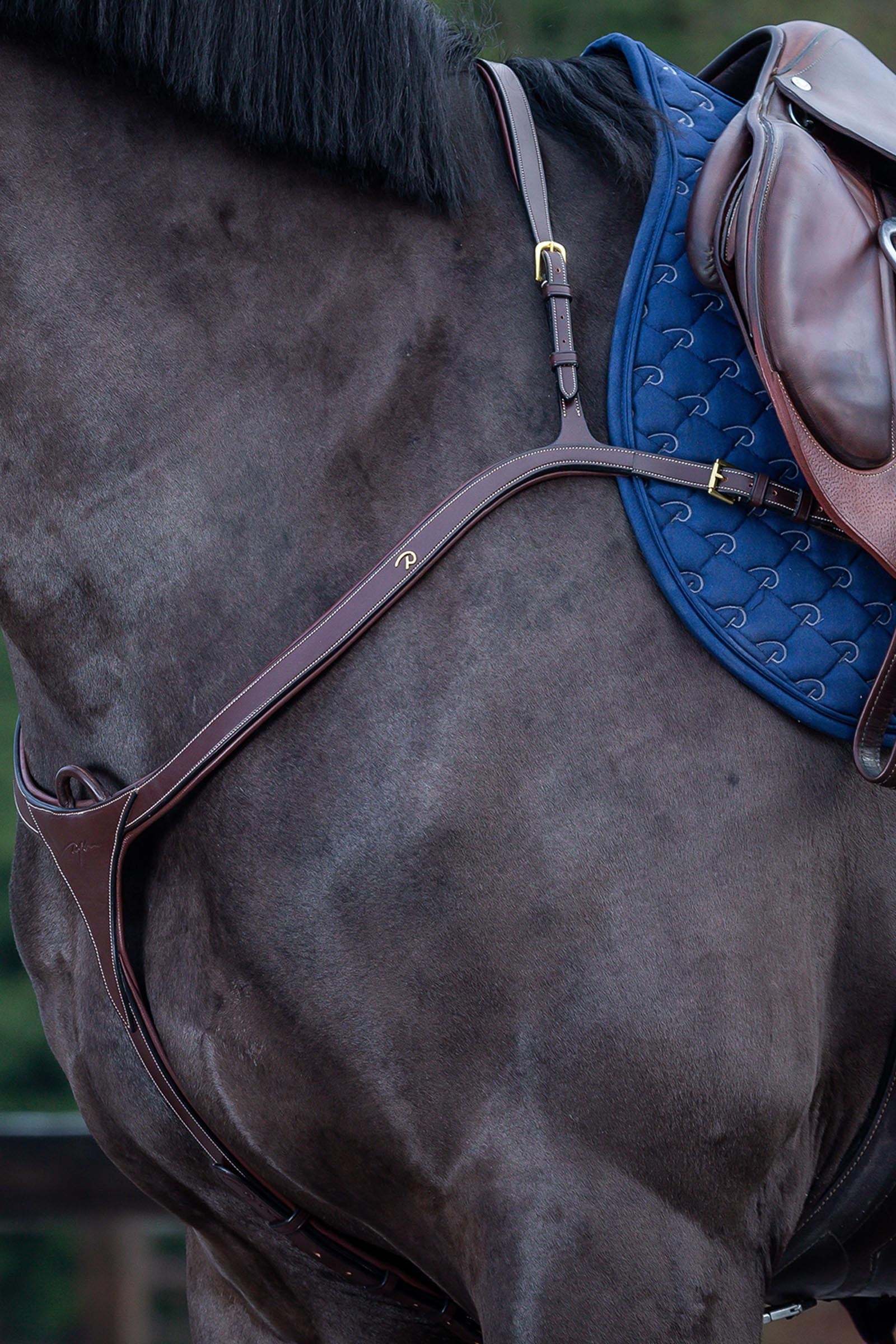 Dy'on D Collection pettorale con ponte lungo Briglie & redini