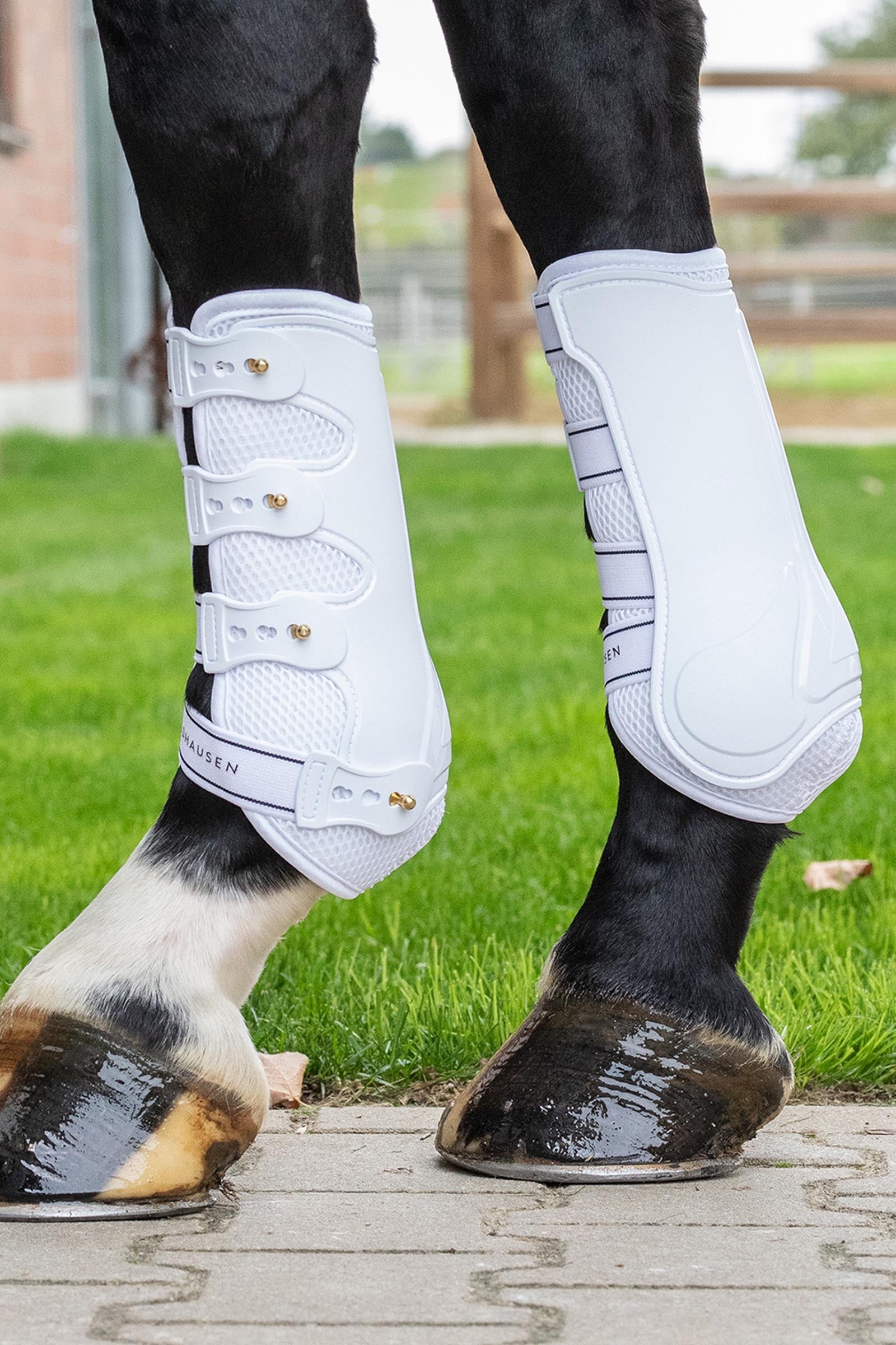Waldhausen Breath Tendon Boots (Pair) Leg & Hoof Protection