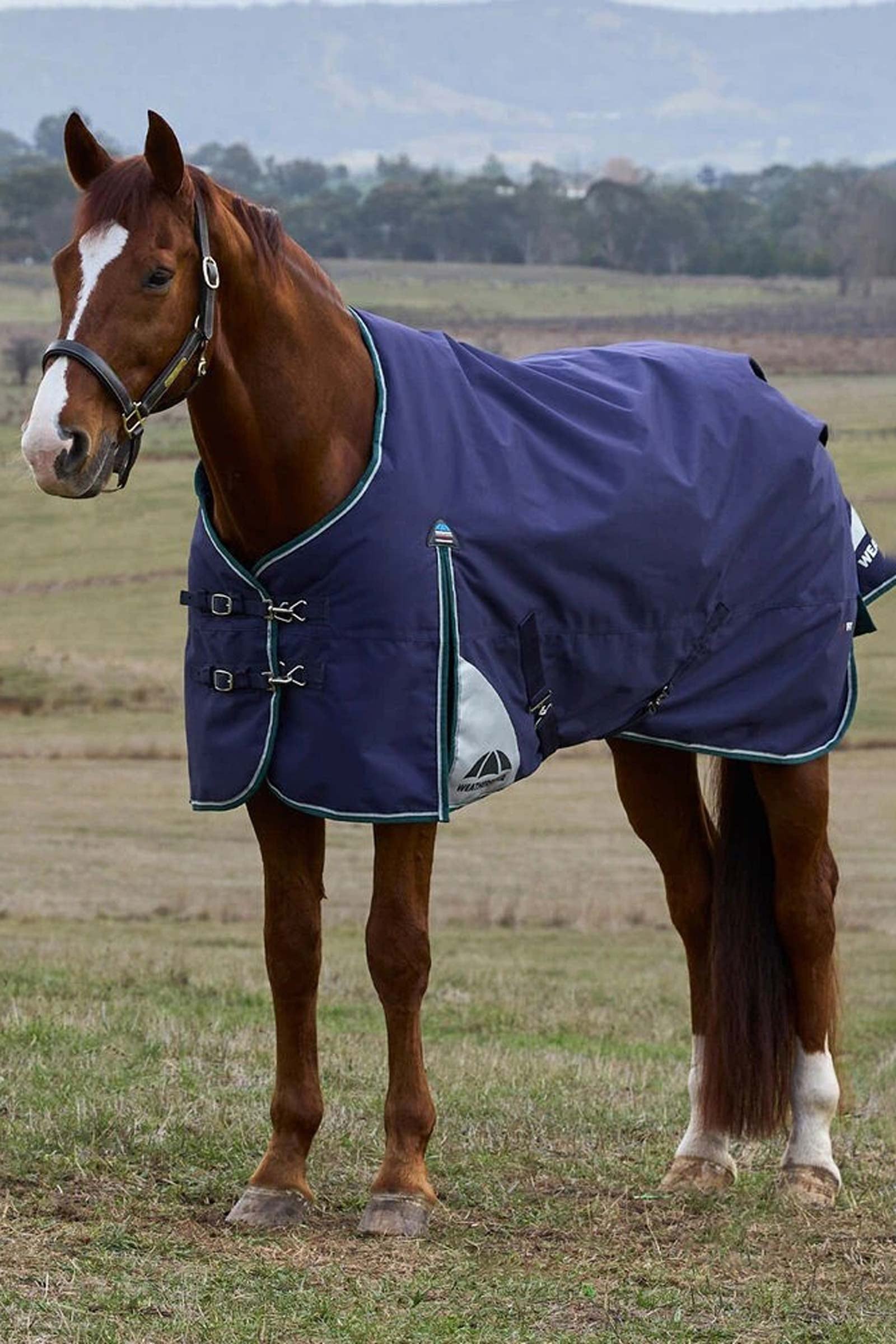Weatherbeeta ComFiTecPlus Dynamic Turnout Standard Neck 0G Coperte per cavalli