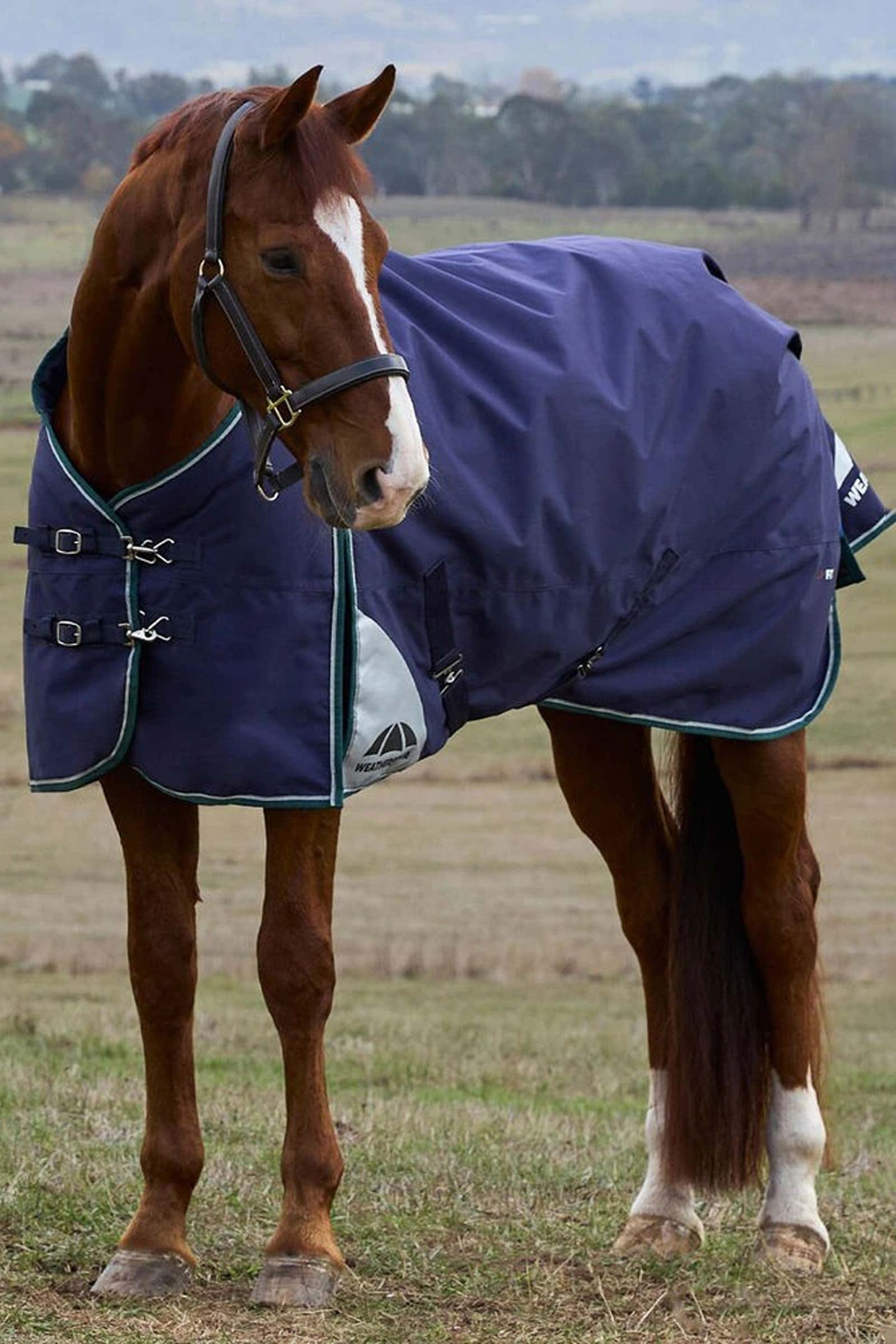 Weatherbeeta ComFiTecPlus Dynamic Turnout Standard Neck 0G Horse Rugs