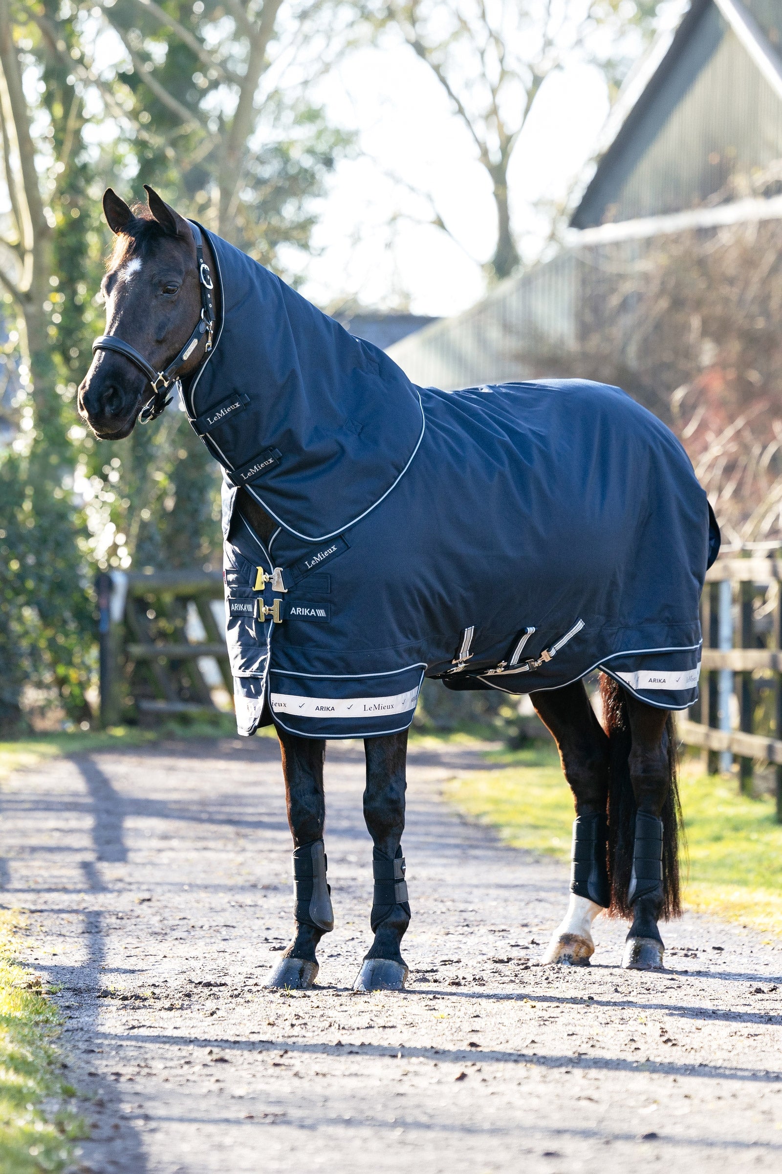 LeMieux Arika Storm-Tek Turnout Rug, 350 g Coperte per cavalli