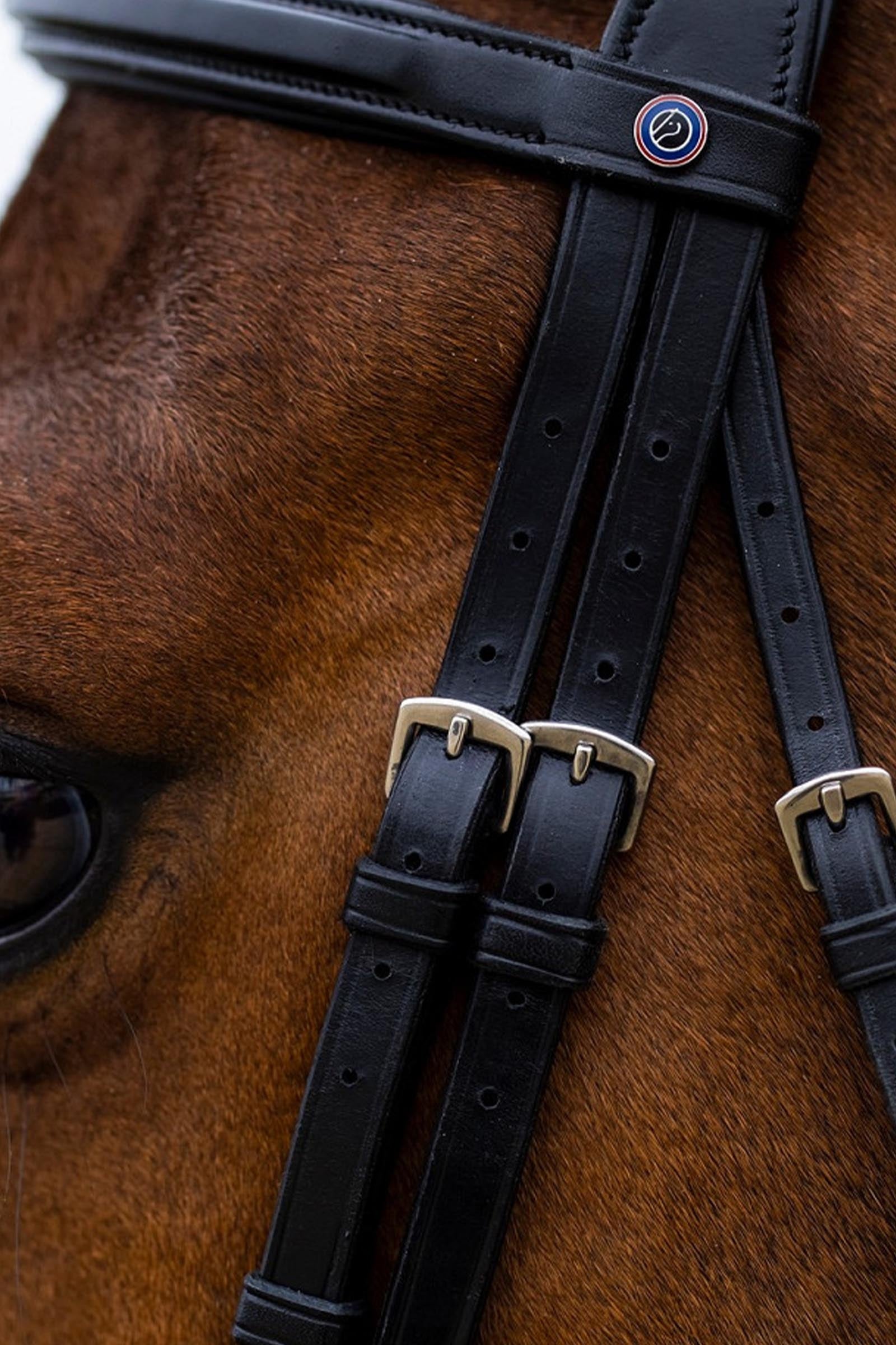 Trust Equestrian Amsterdam Combined Noseband Anatomic Bridle Bridles & Reins