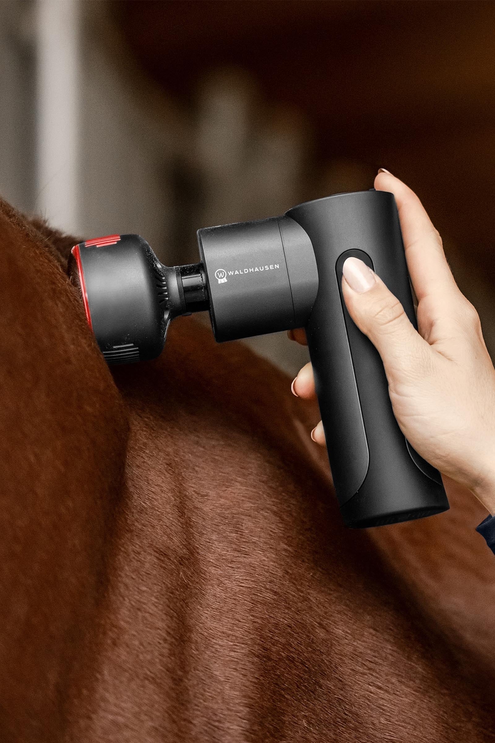 Waldhausen Health + Care Waldhausen Health & Care Pro Massage Gun, Hot & Cold Horse Health Care