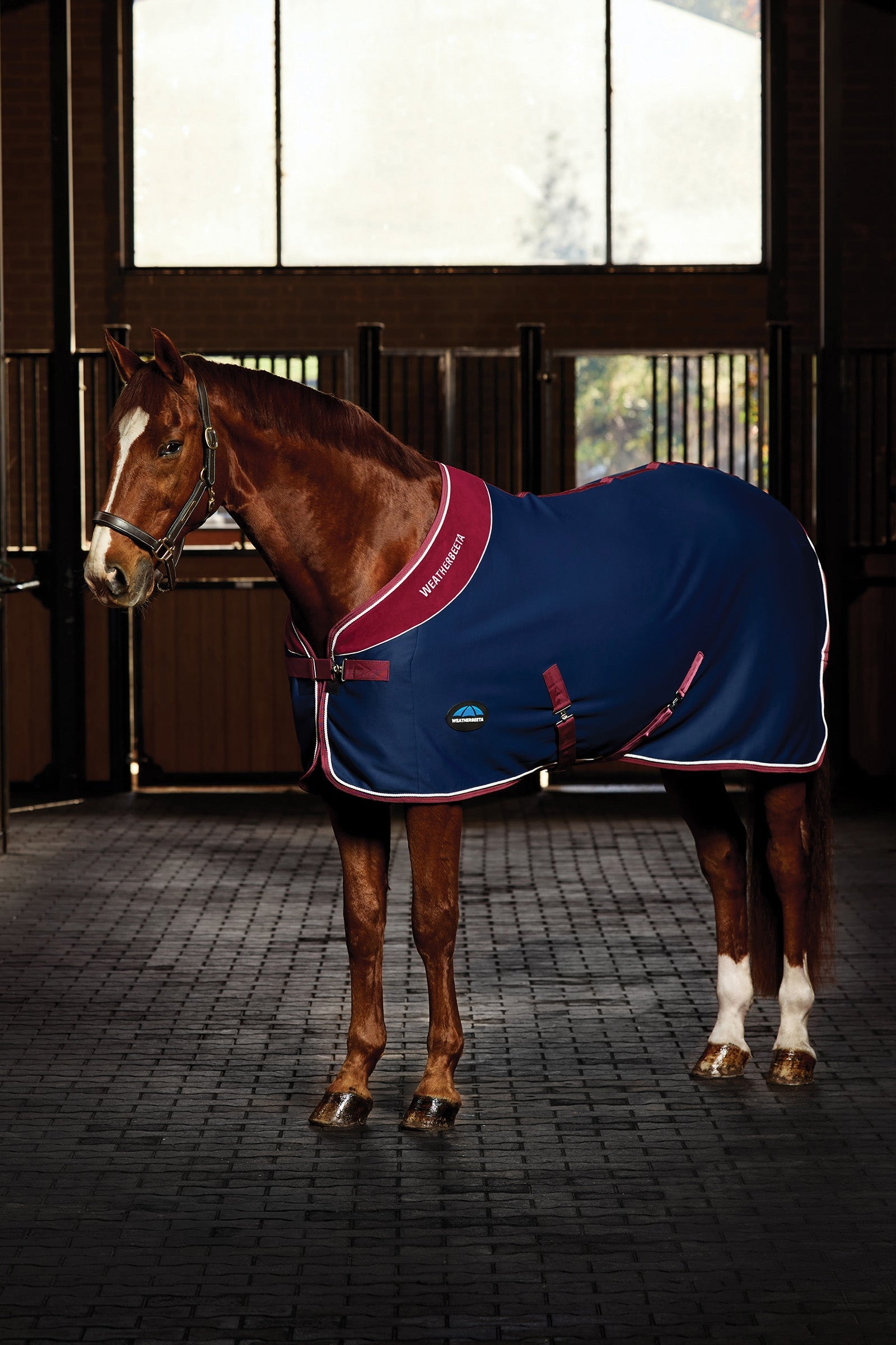 Weatherbeeta Opulence Coperta da spettacolo Collo standard Coperte per cavalli
