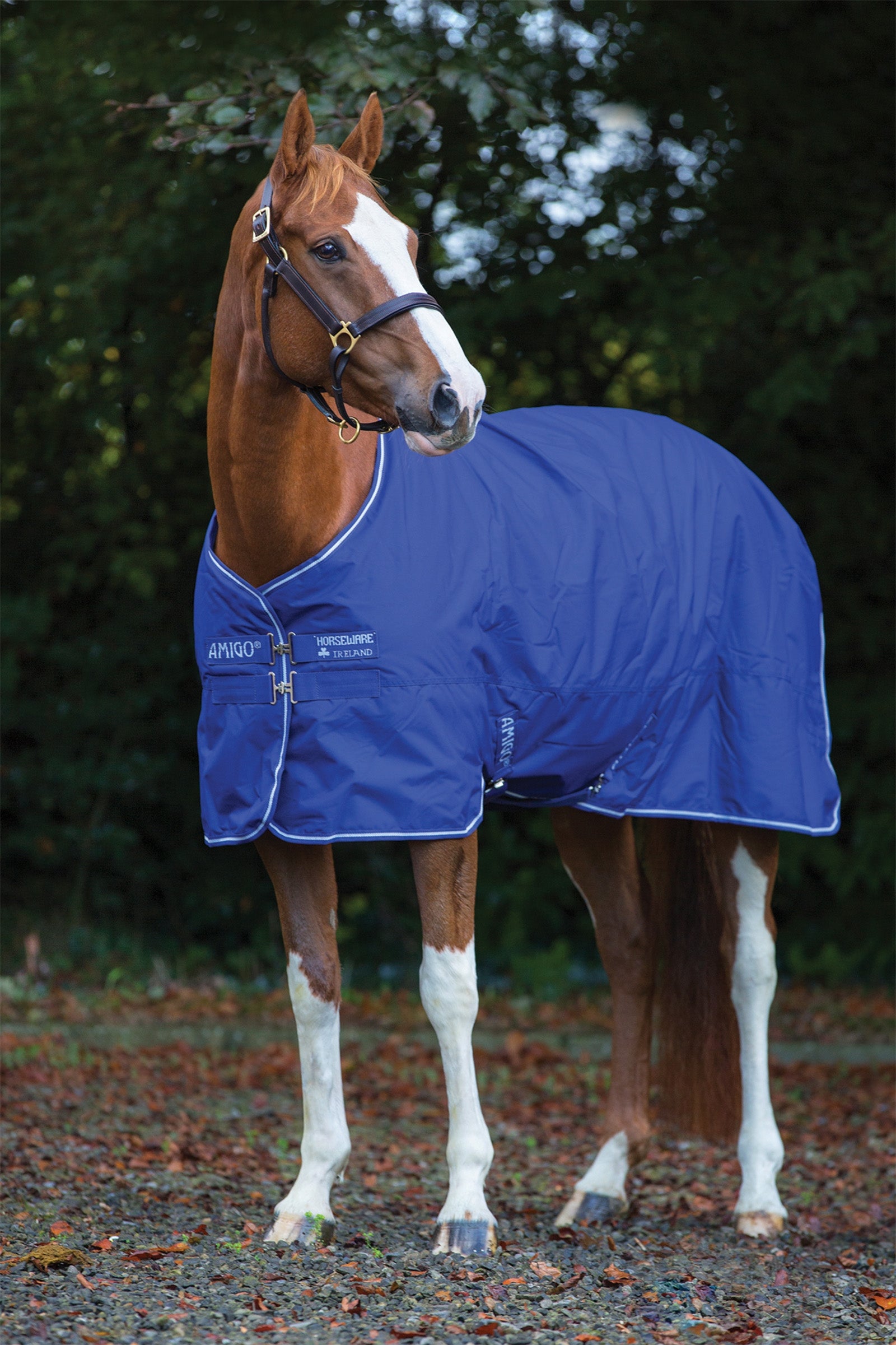 Horseware Amigo Hero 900 Plus Medium coperta da paddock, 200g Coperte per cavalli