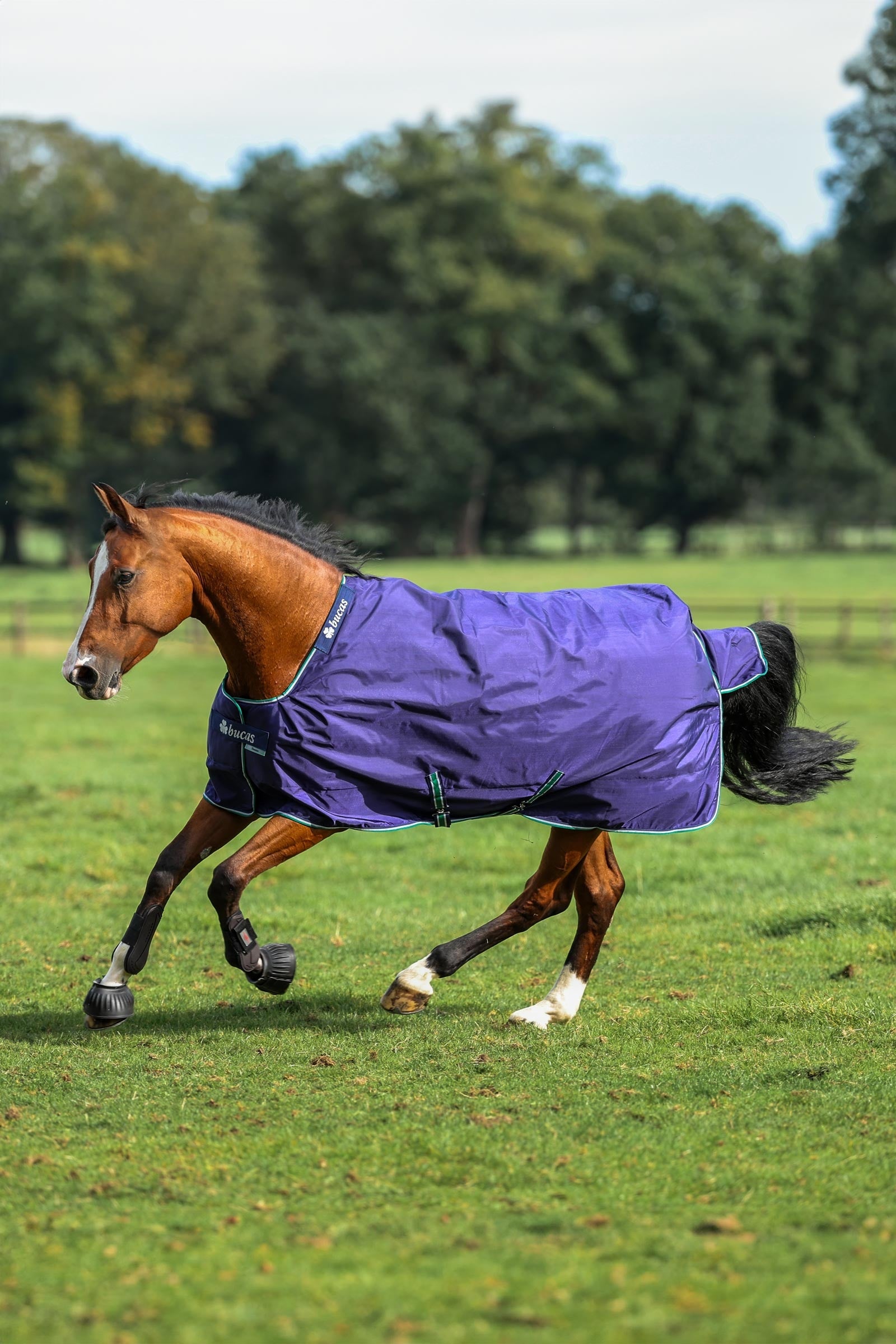 Bucas Smartex Rain coperta da turnout, 0g Coperte per cavalli